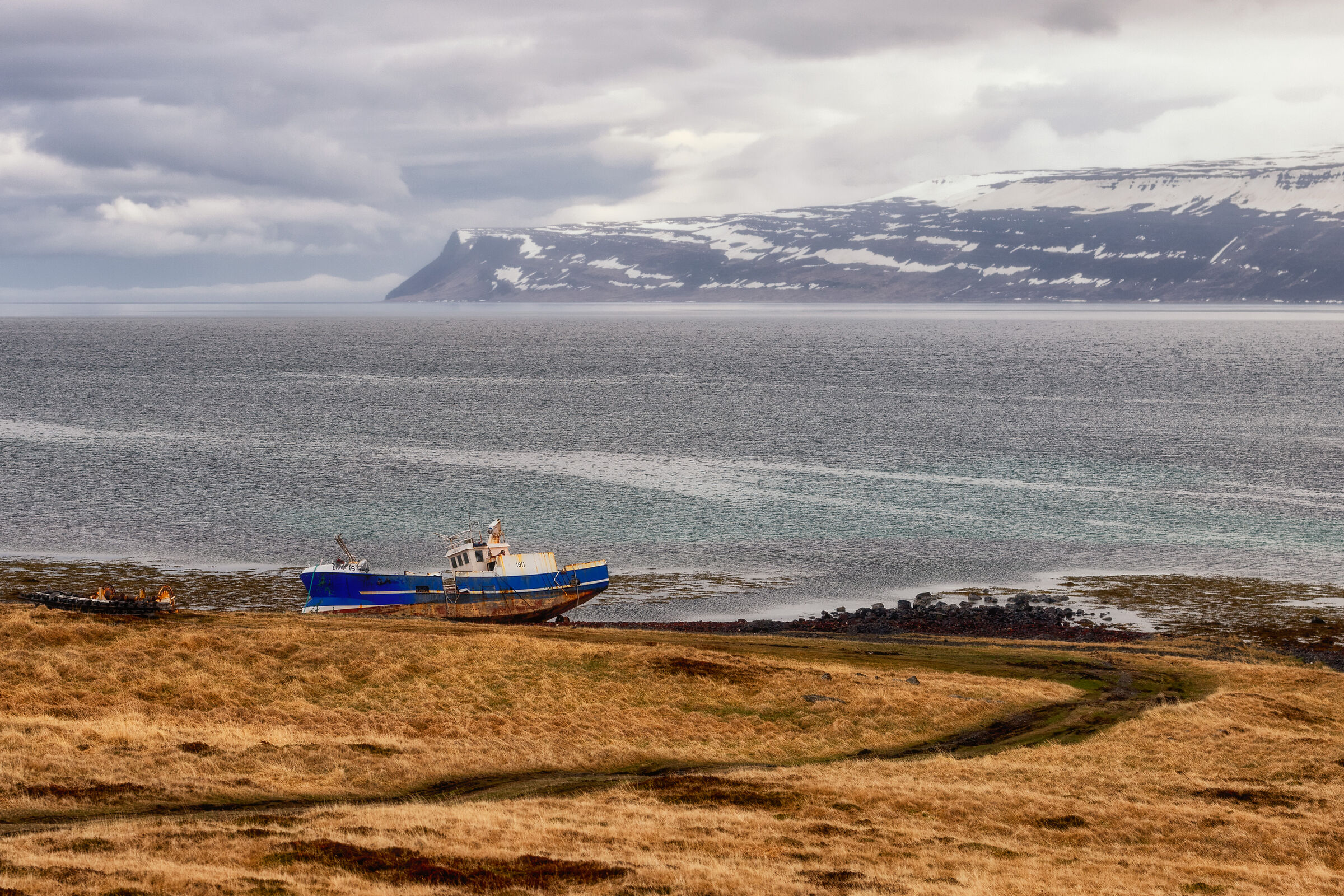 Westfjords I