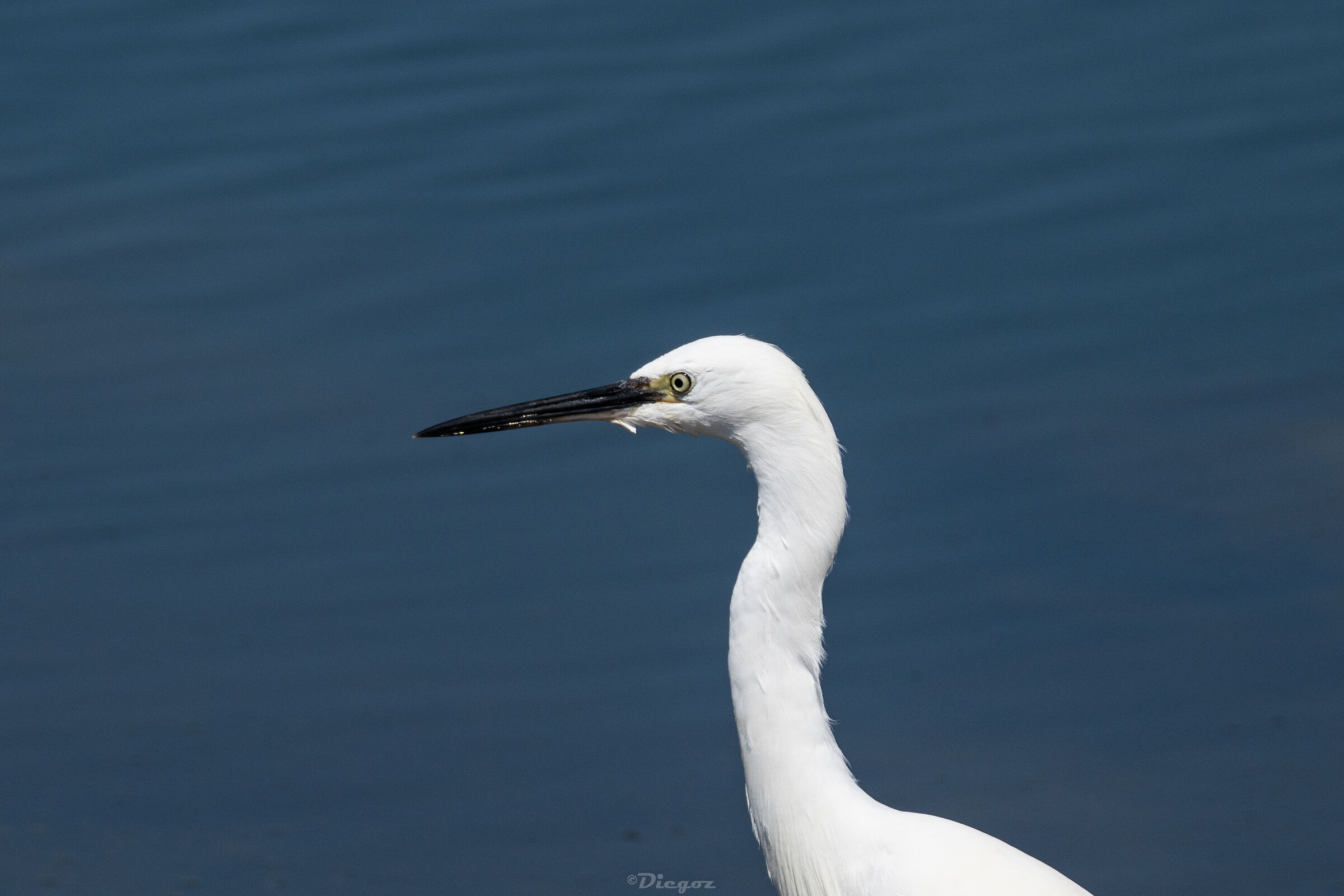 Untitled Photo