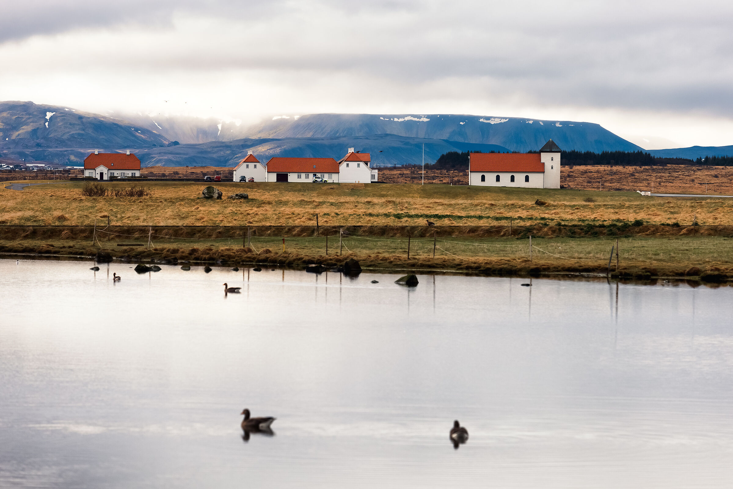 Passeggiata per Álftanes I