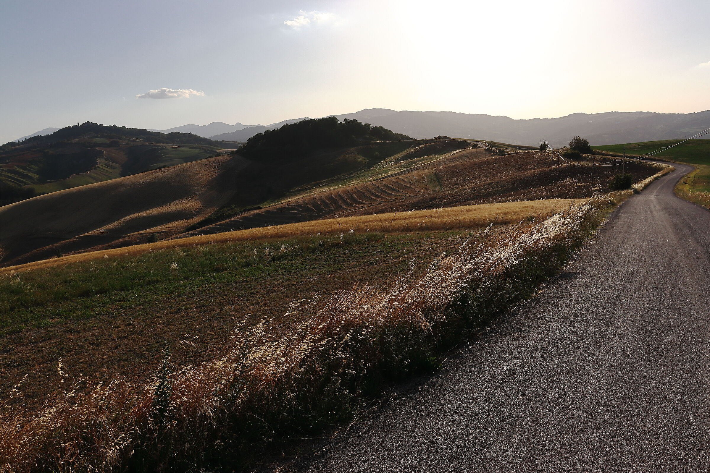 Sunset of barren gold