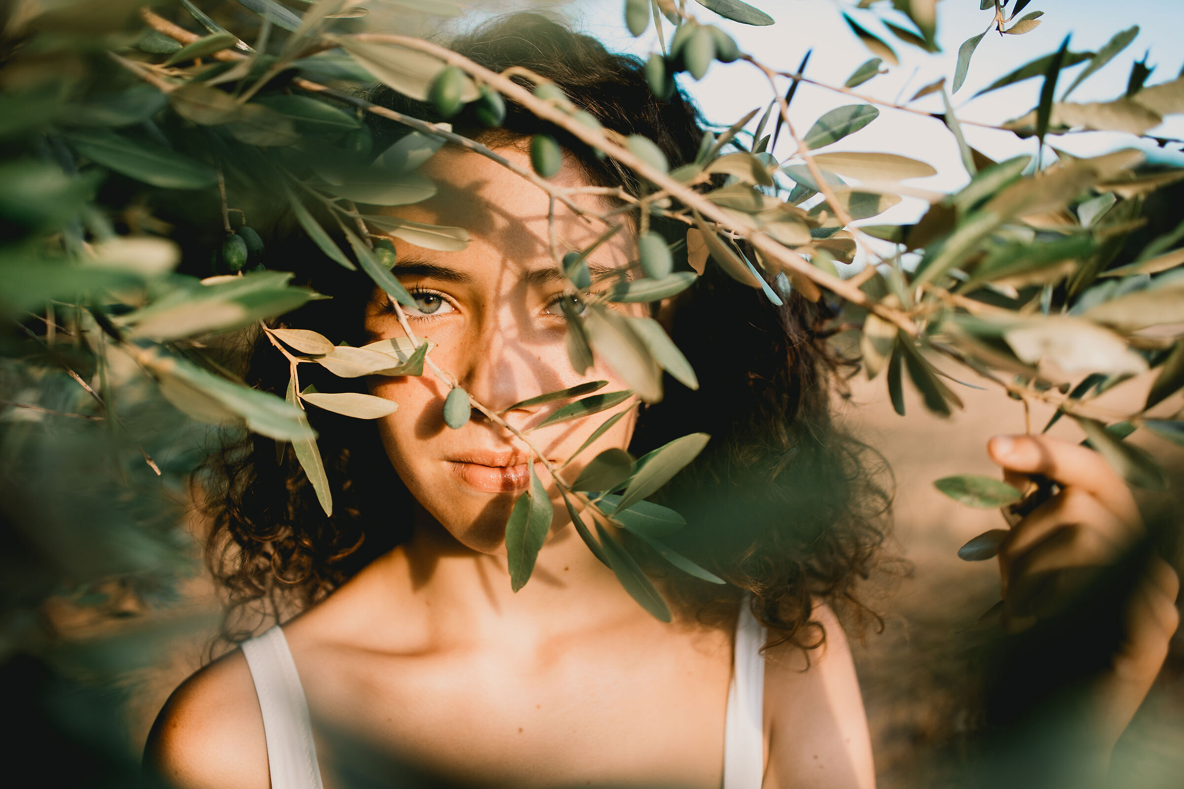 Into the leaves (2)