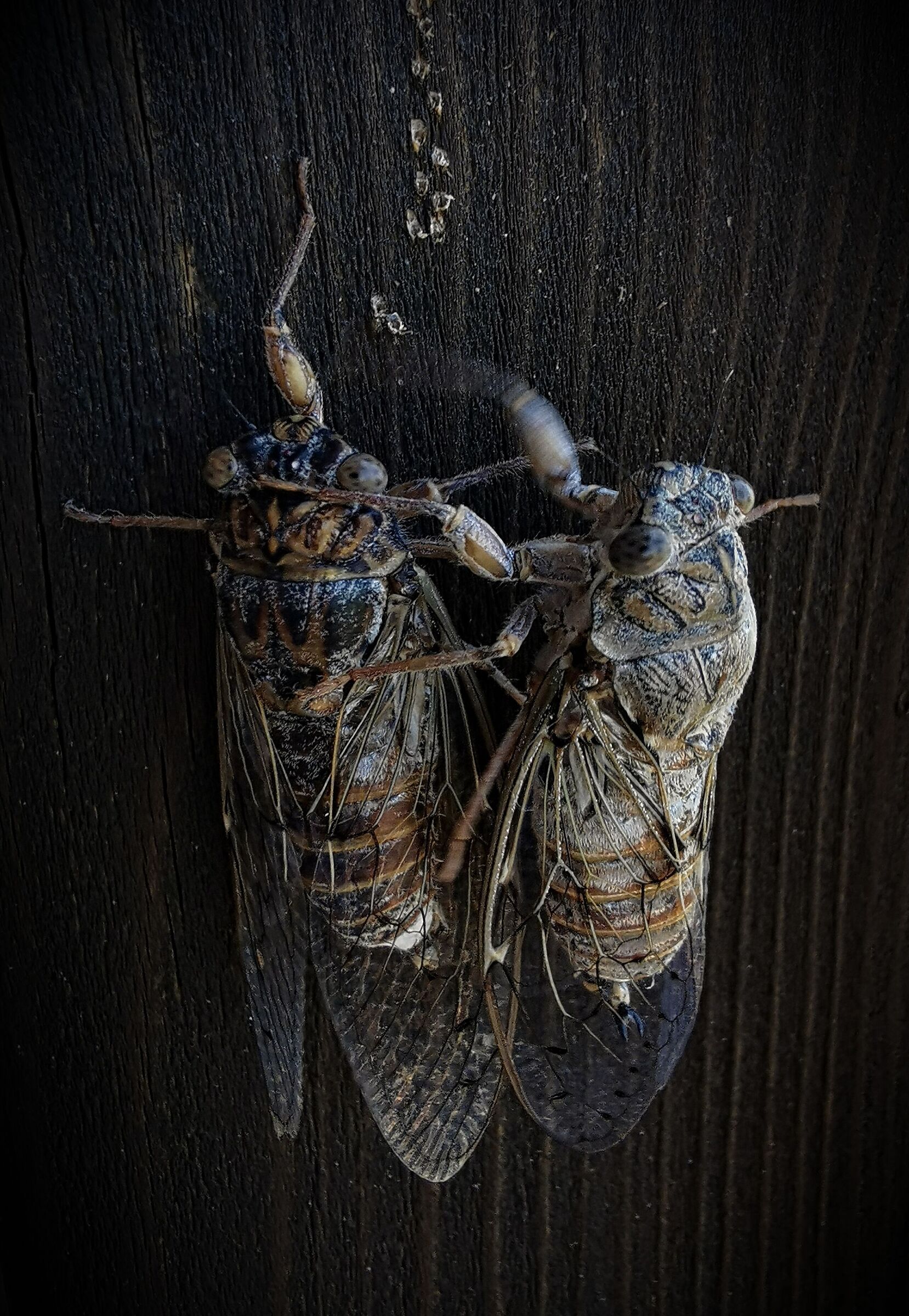 Test 8 Huawei P30Pro