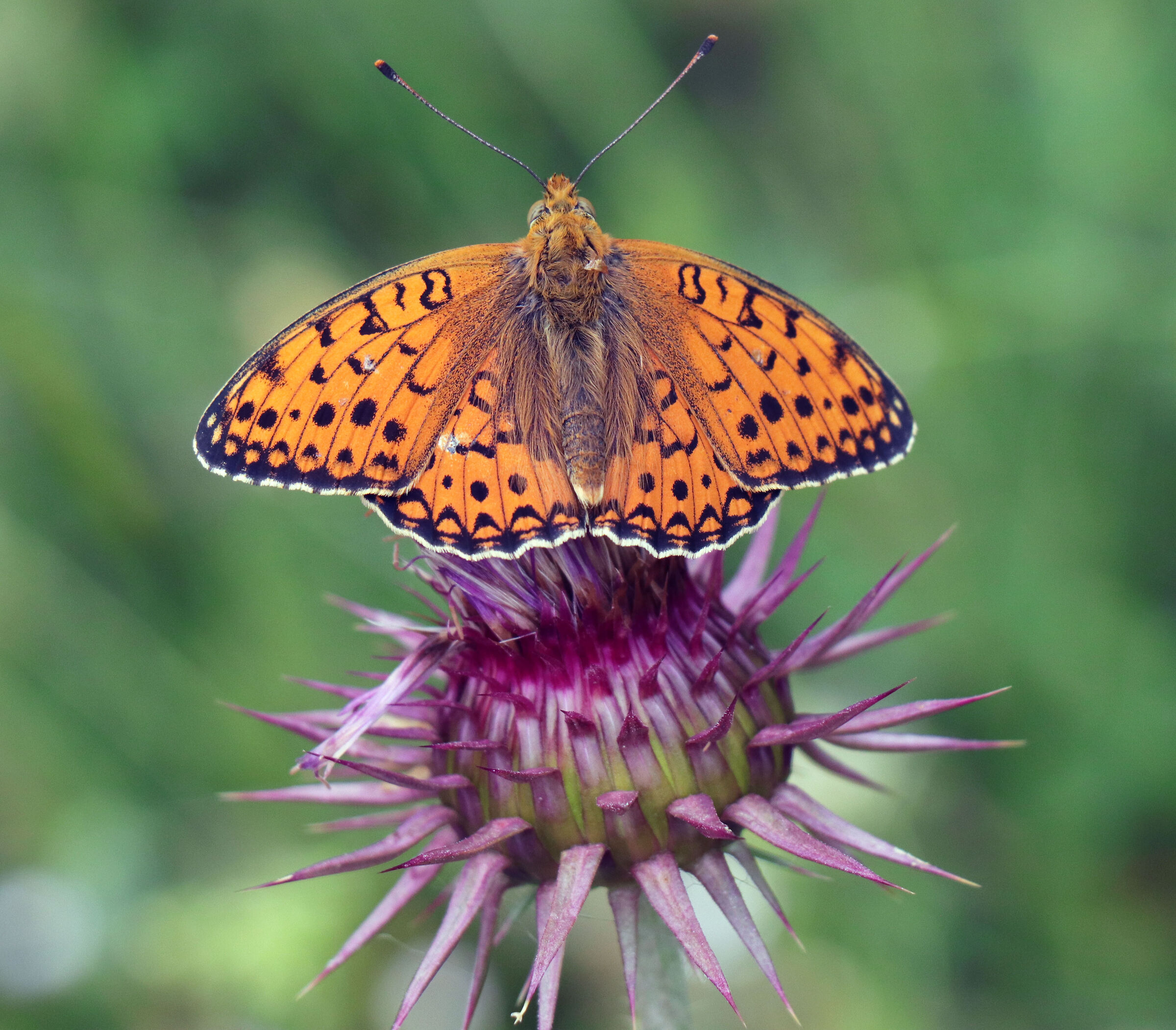 What is this called?