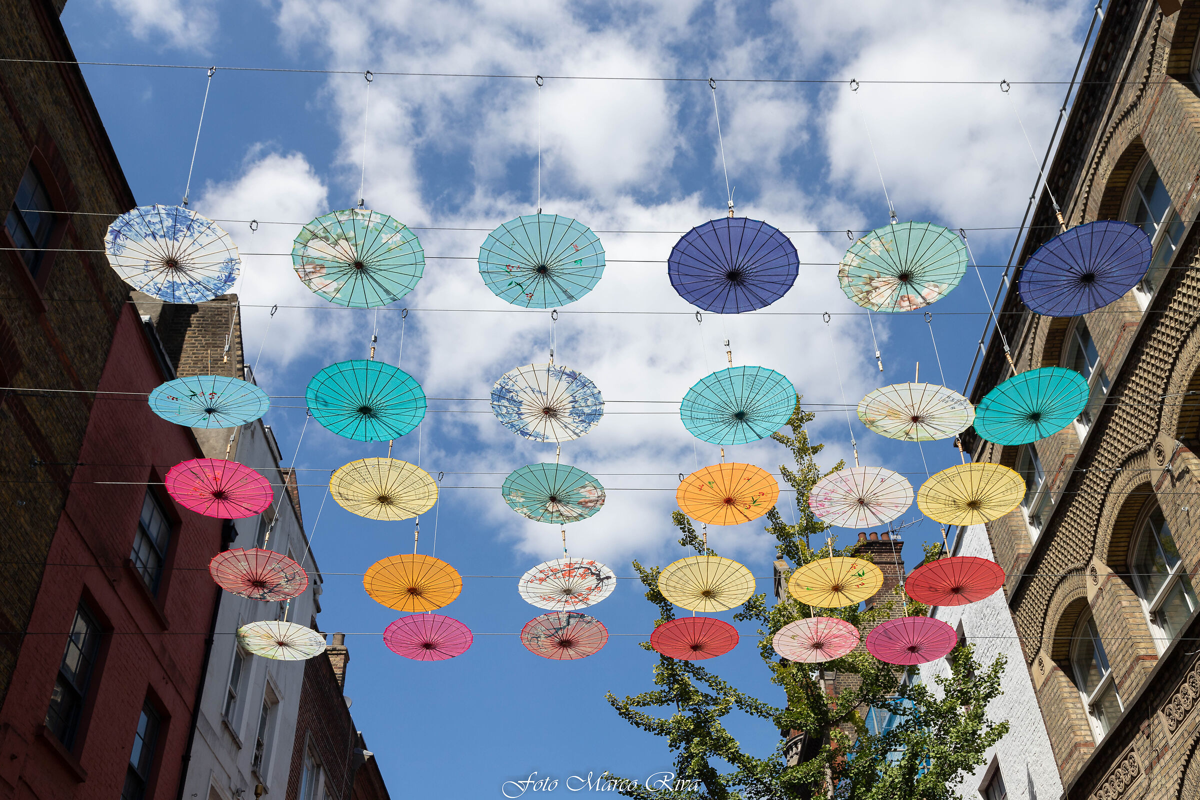 Chinese umbrellas