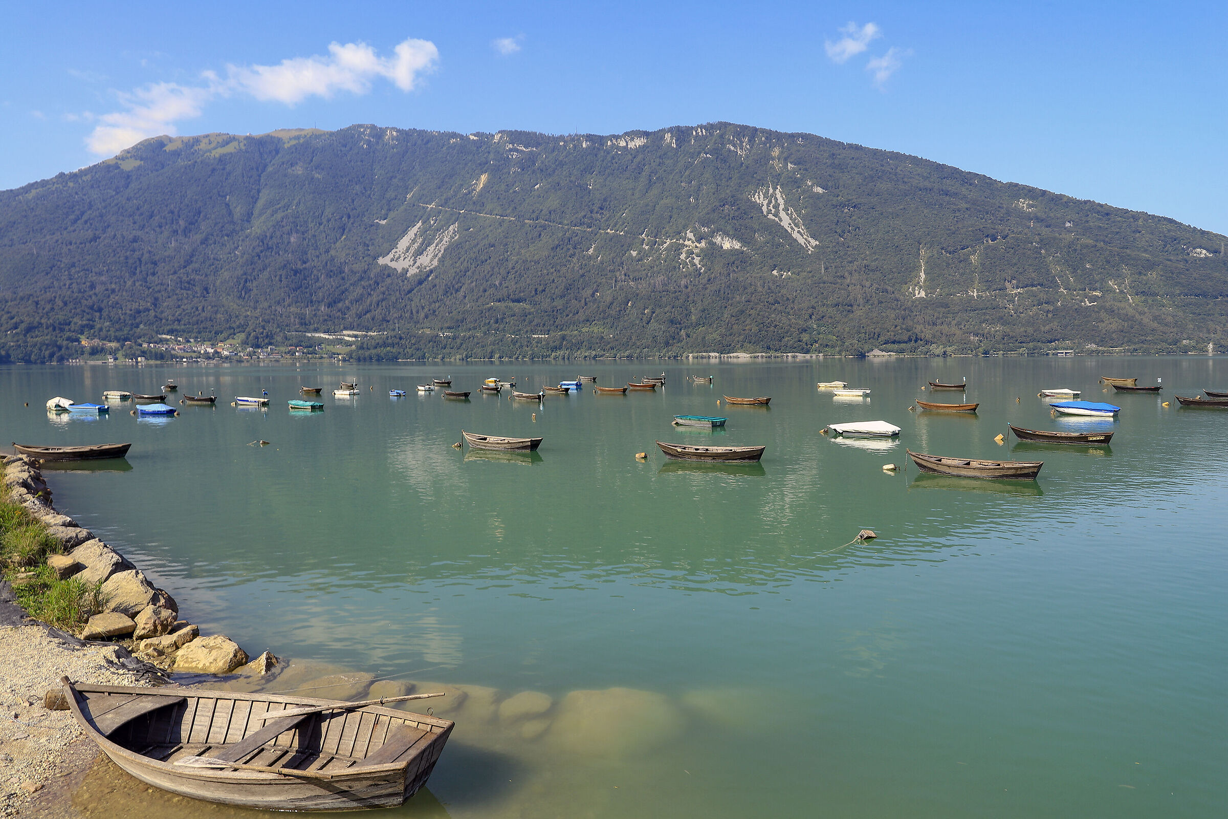 The fleet of the lake