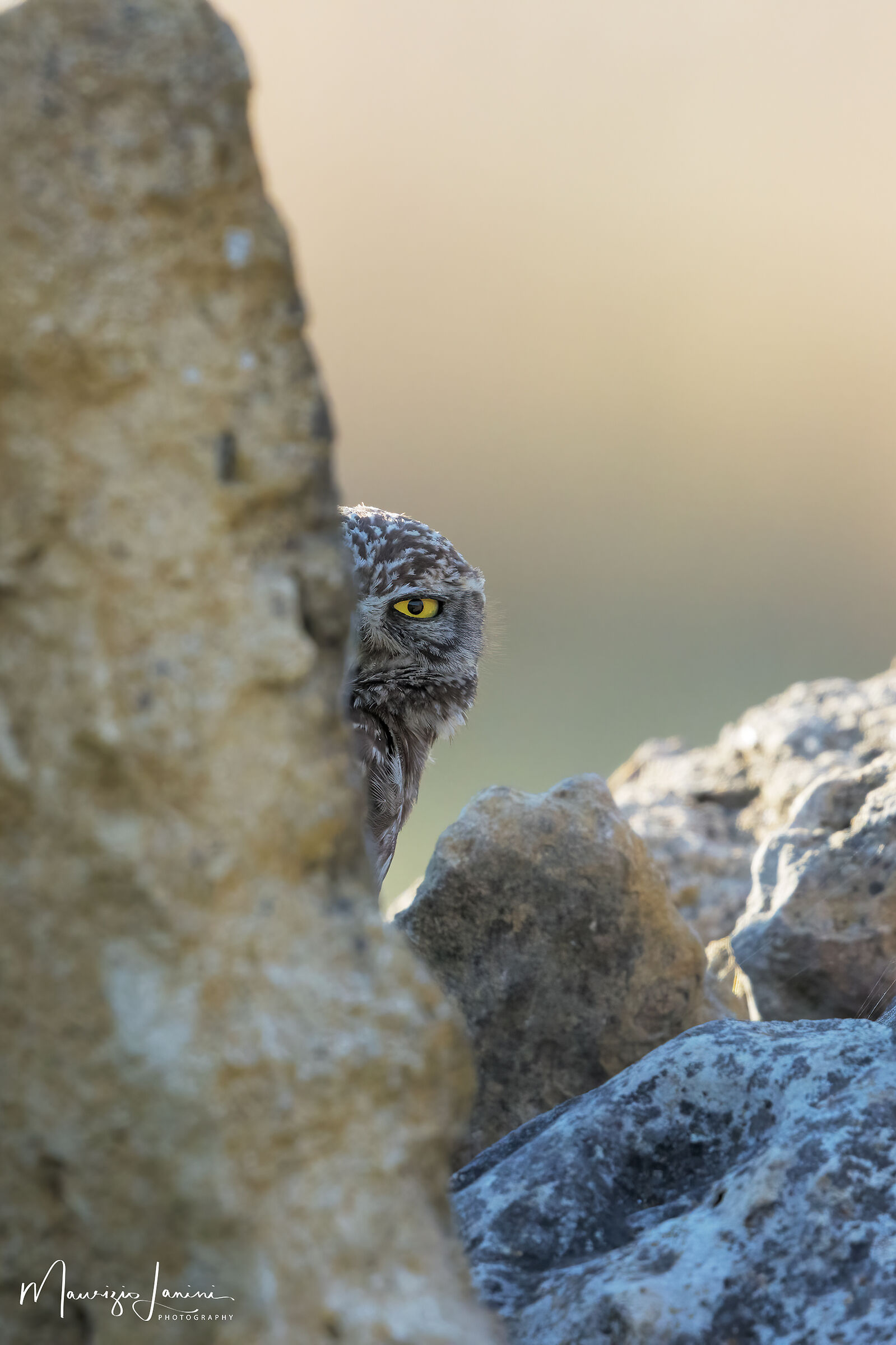 Guarda che ti ho visto!!!