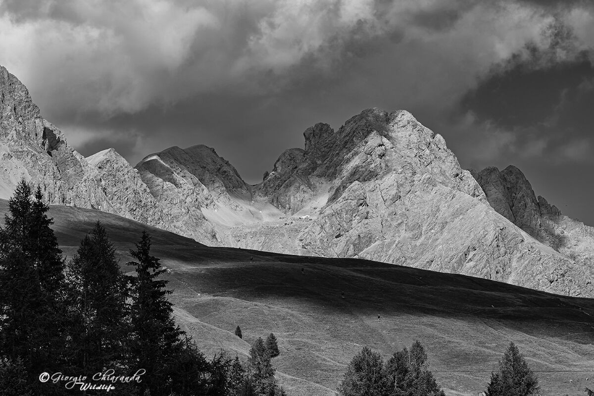 Dal passo S. Pellegrino