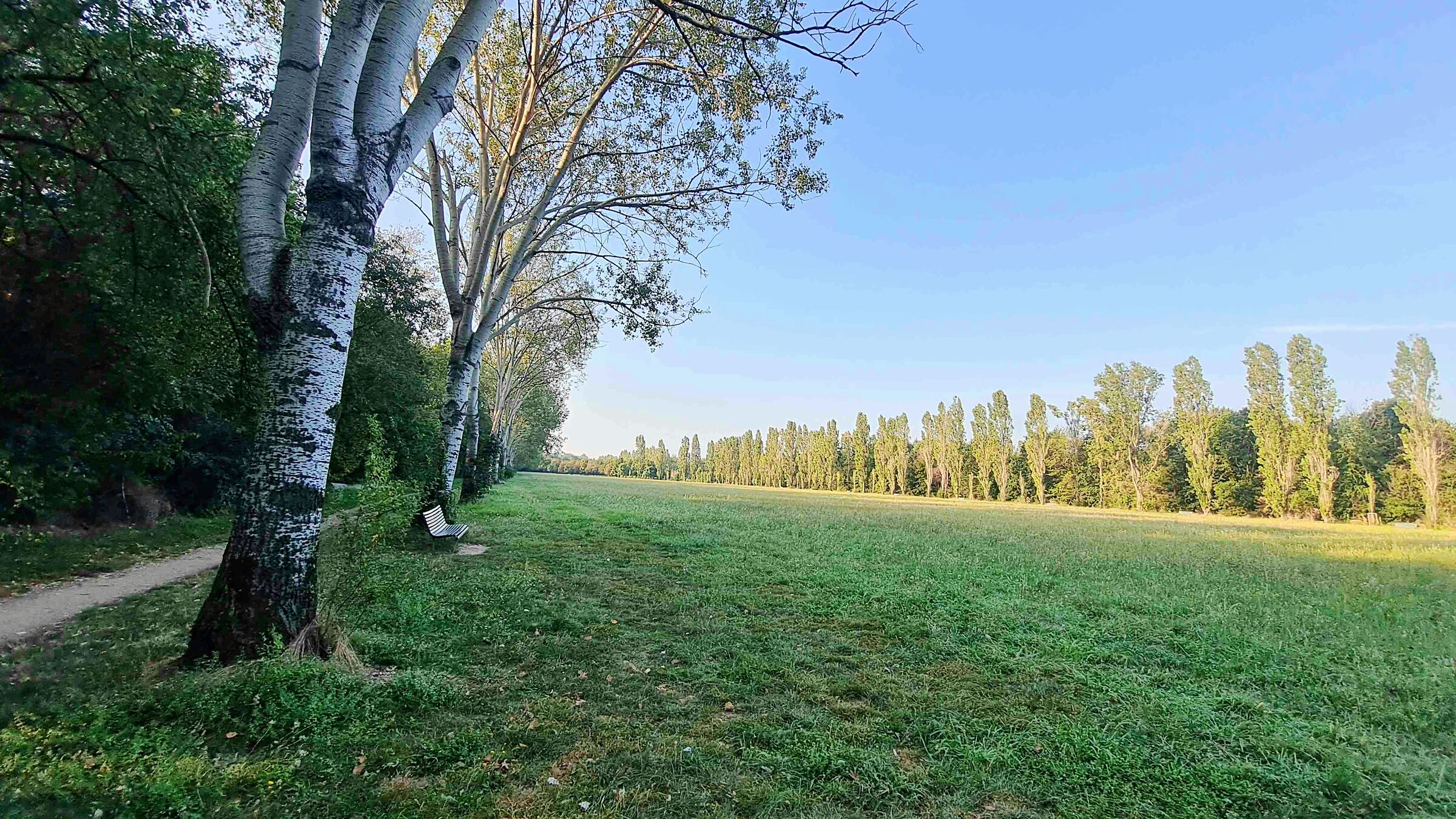 Non c'è  nessuno al parco Nord