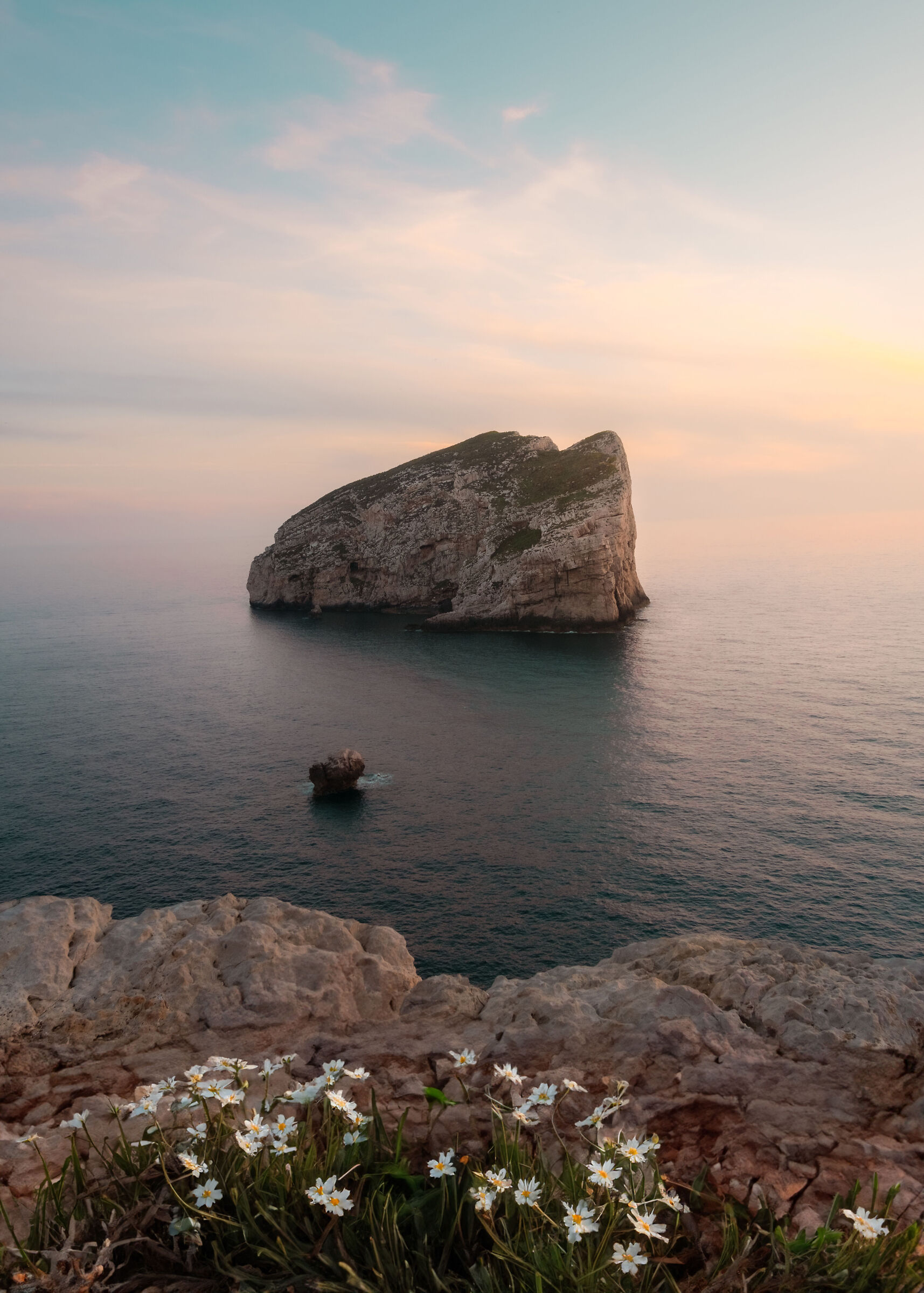 La ragione una piccola isola nell'oceano dell'irrazi...