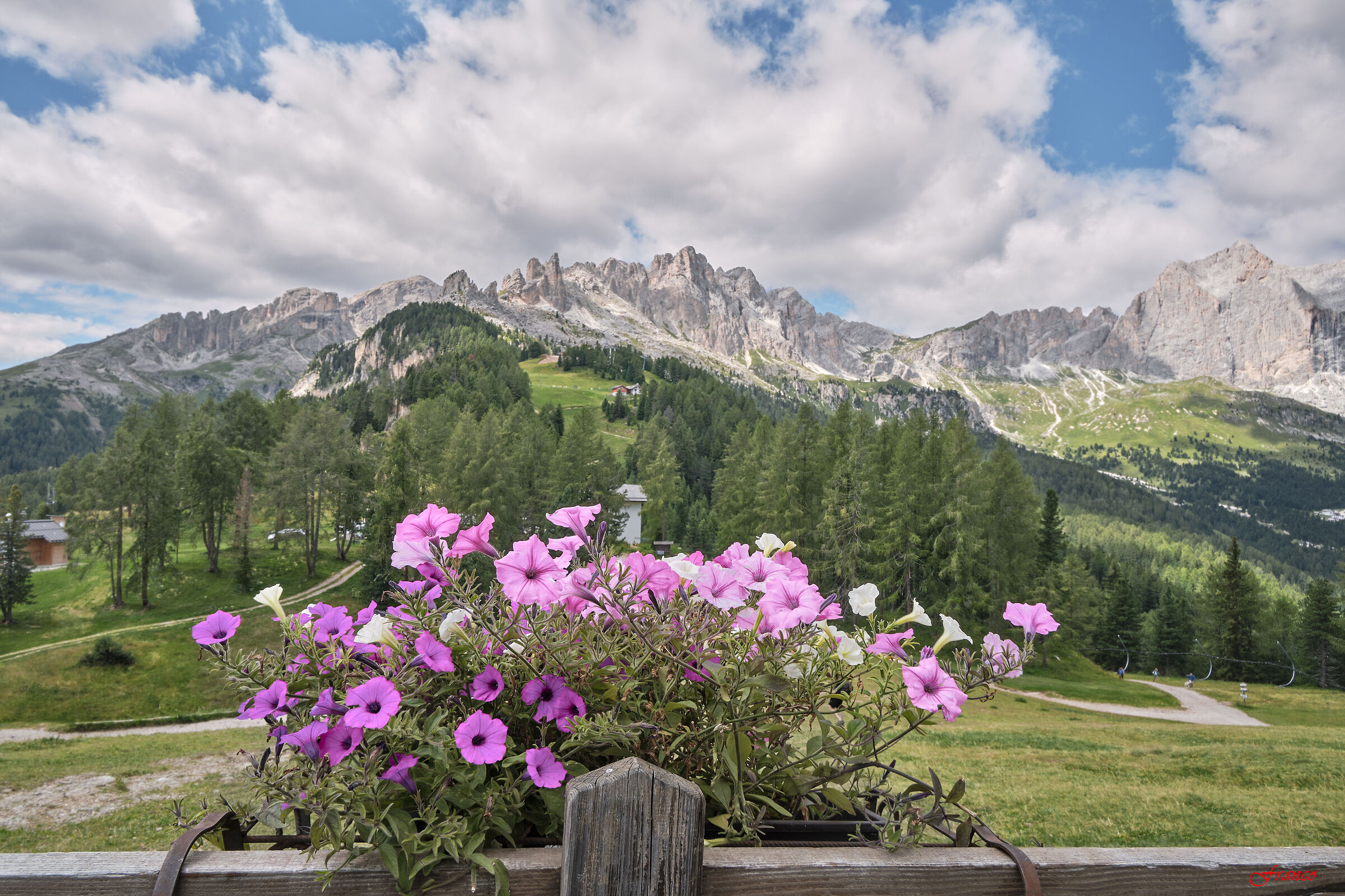 Il Catinaccio dal Ciampedie #1