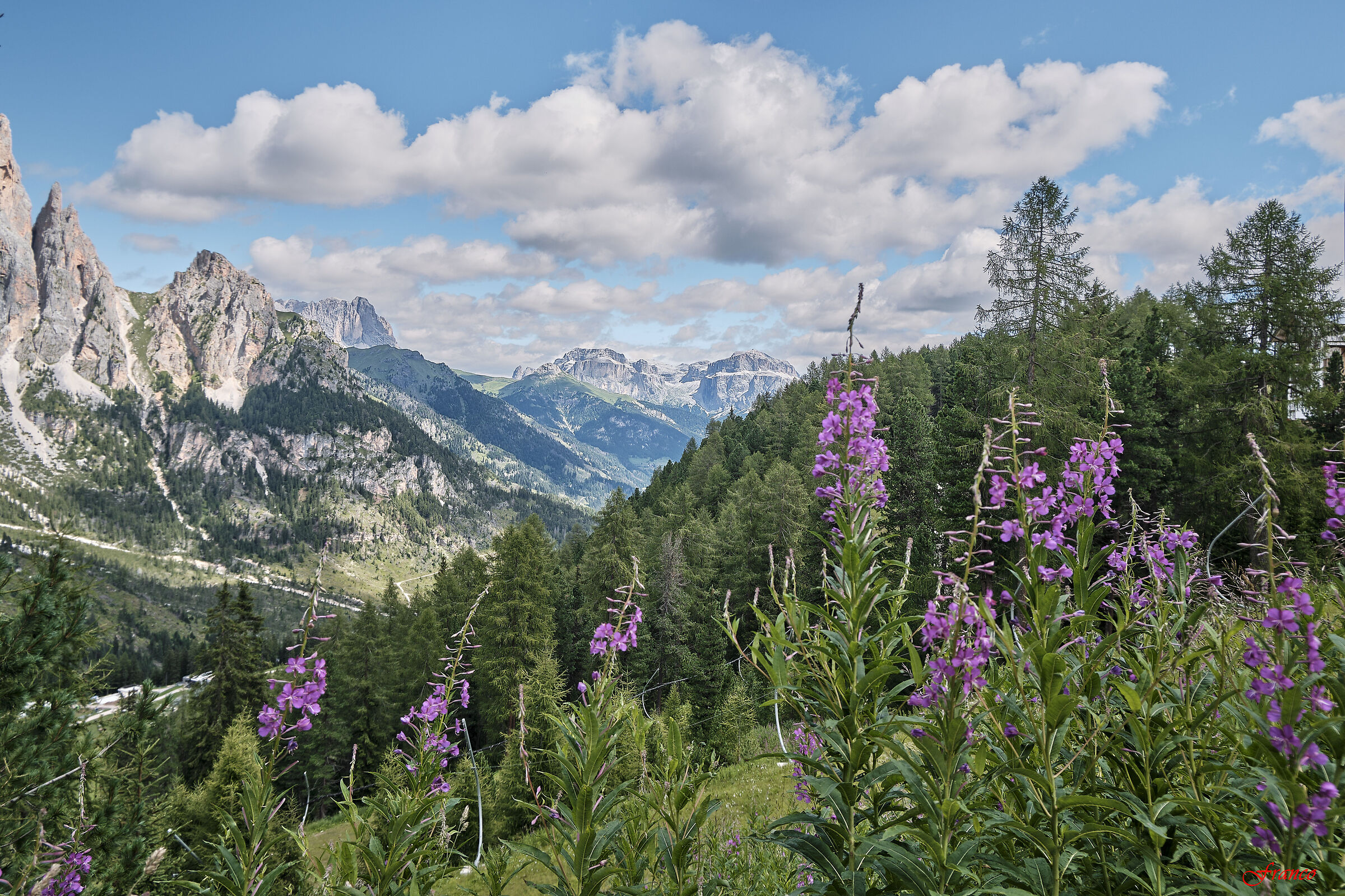 Il Sella dal Gardeccia