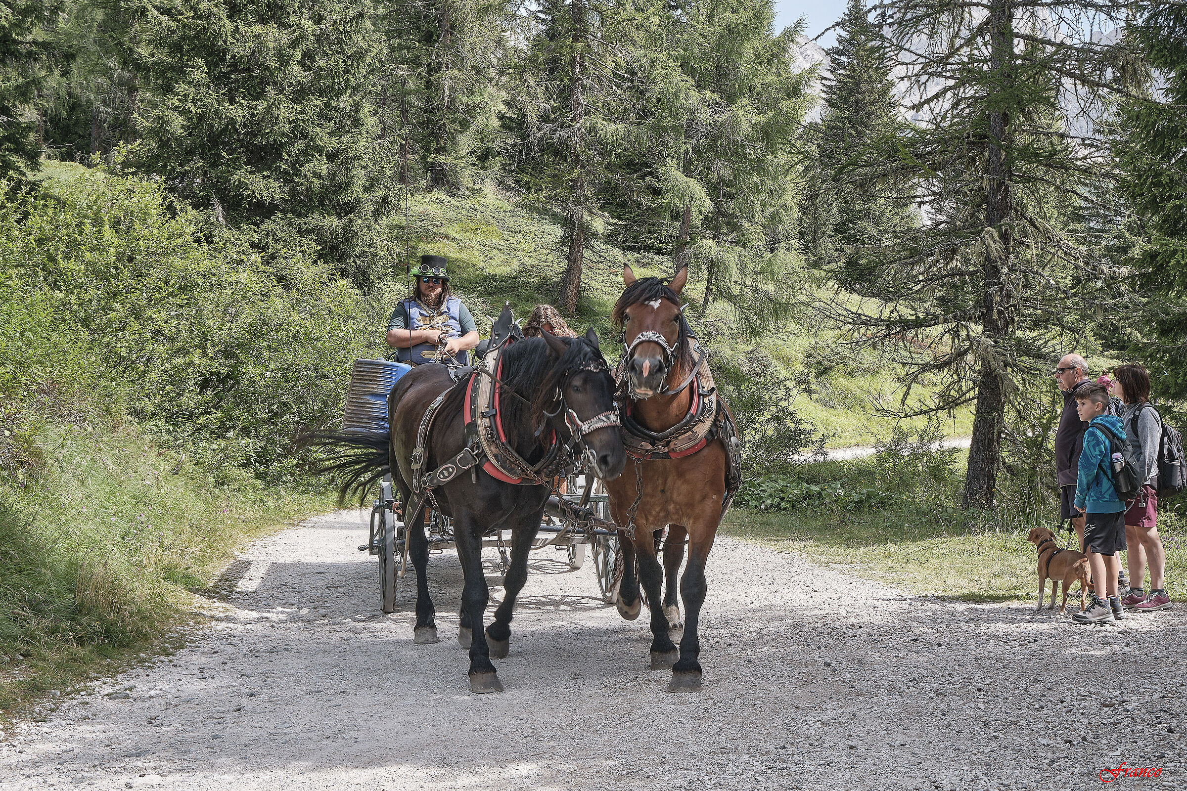 Il calesse del Fuciade