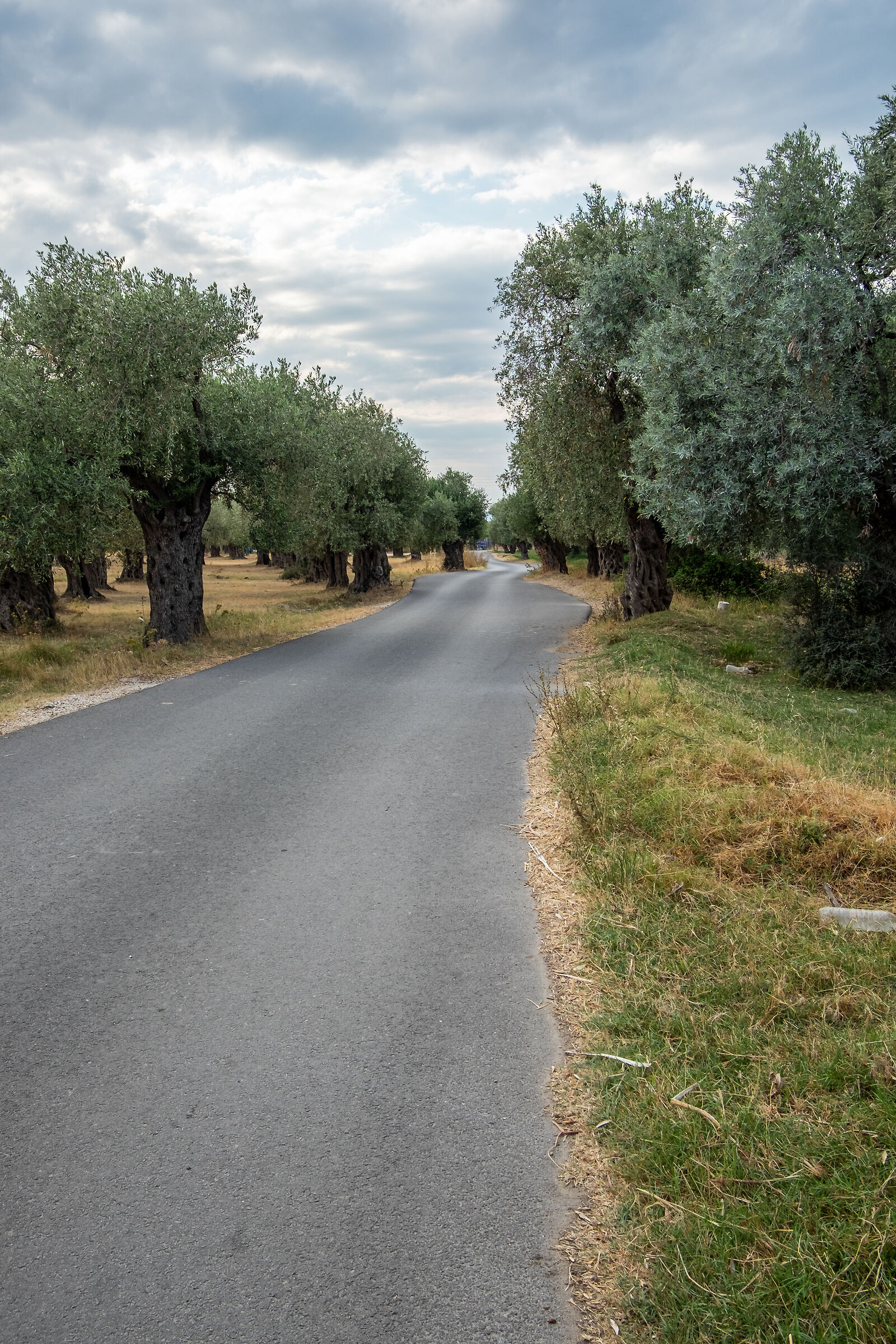 Thassos Island Greece