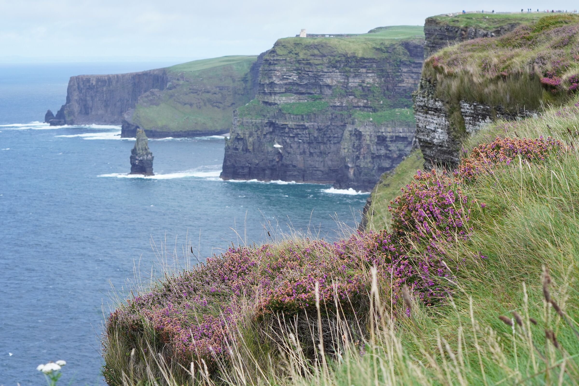 Cliffs of Moher