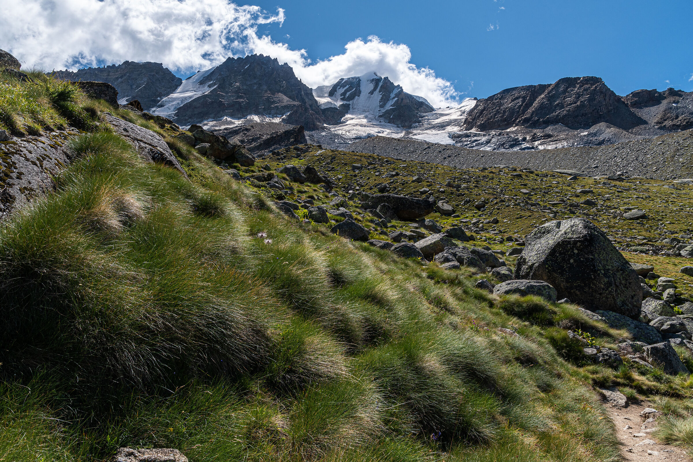 When you see the Gran Paradiso