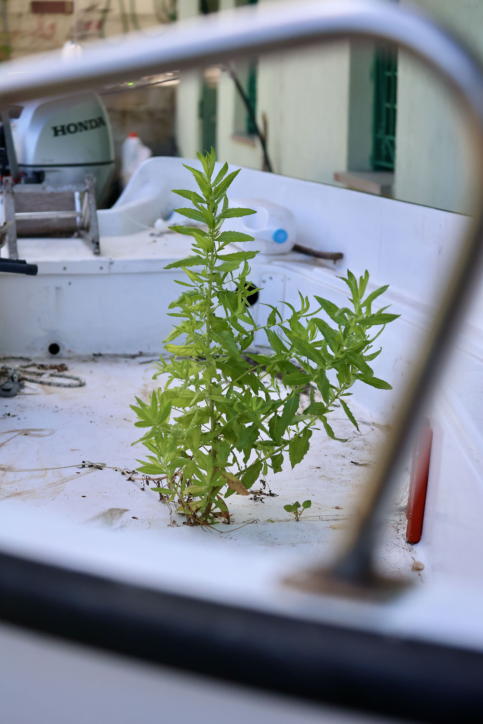 Chi è più forte la natura o l'uomo?