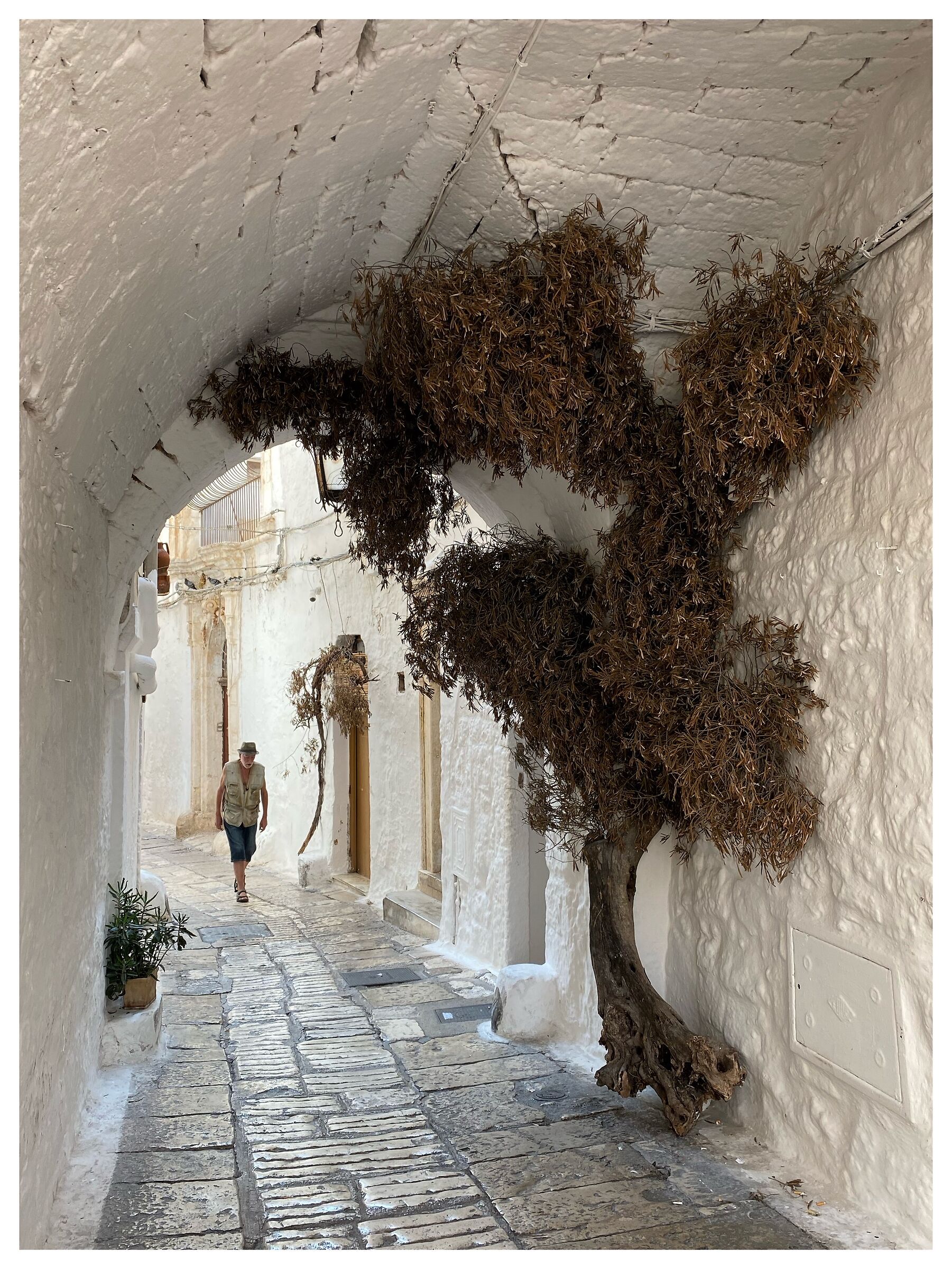 Ostuni - The white city