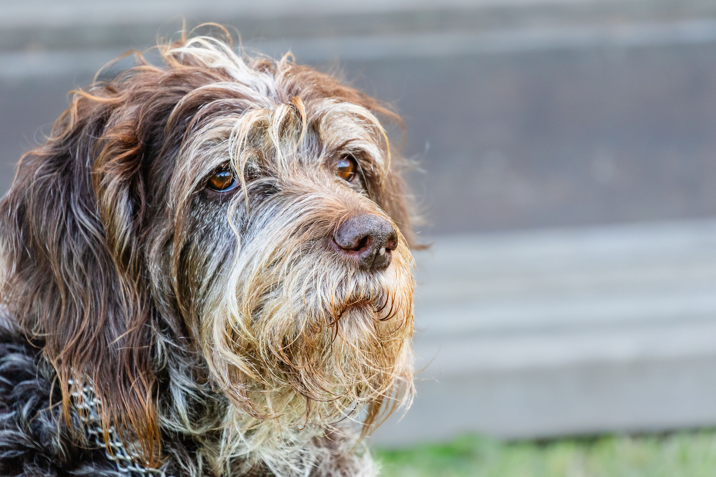 Memoria professionale di ATA