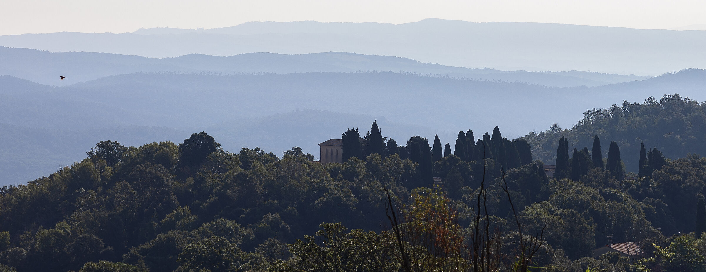 Dalle parti di Roccastrada...