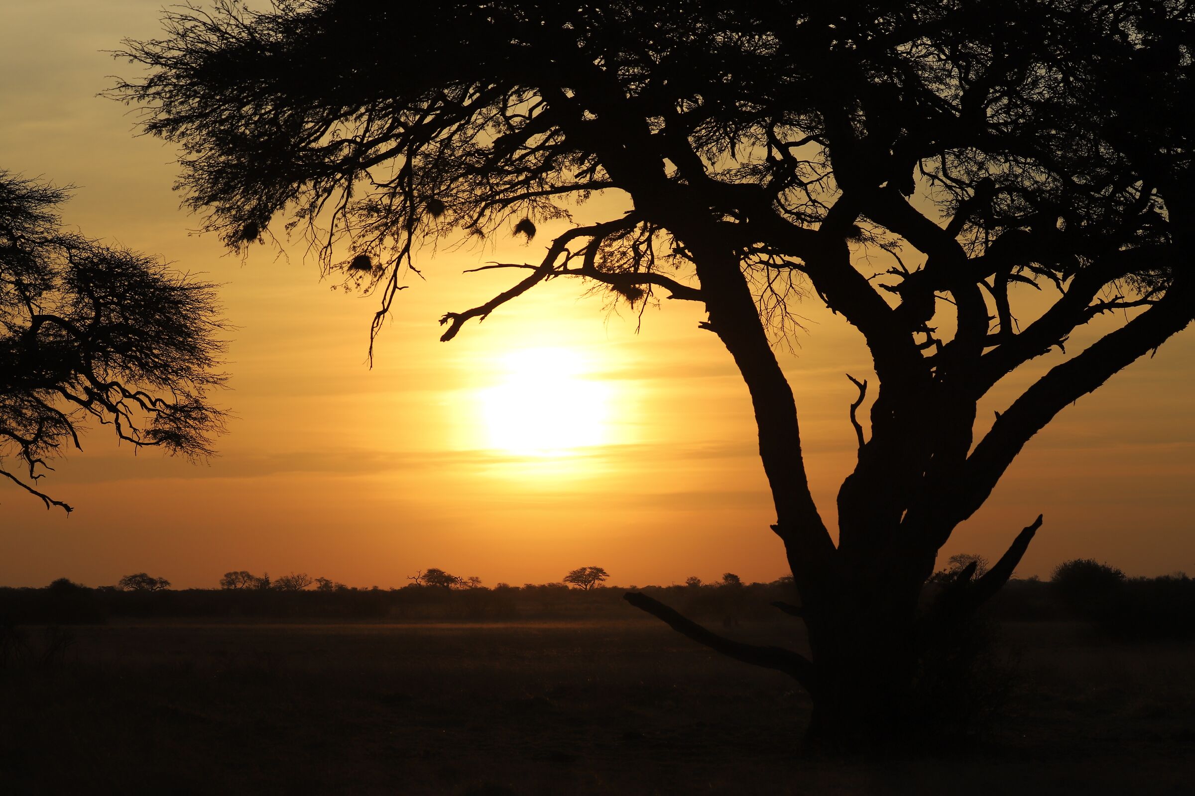 African sunset