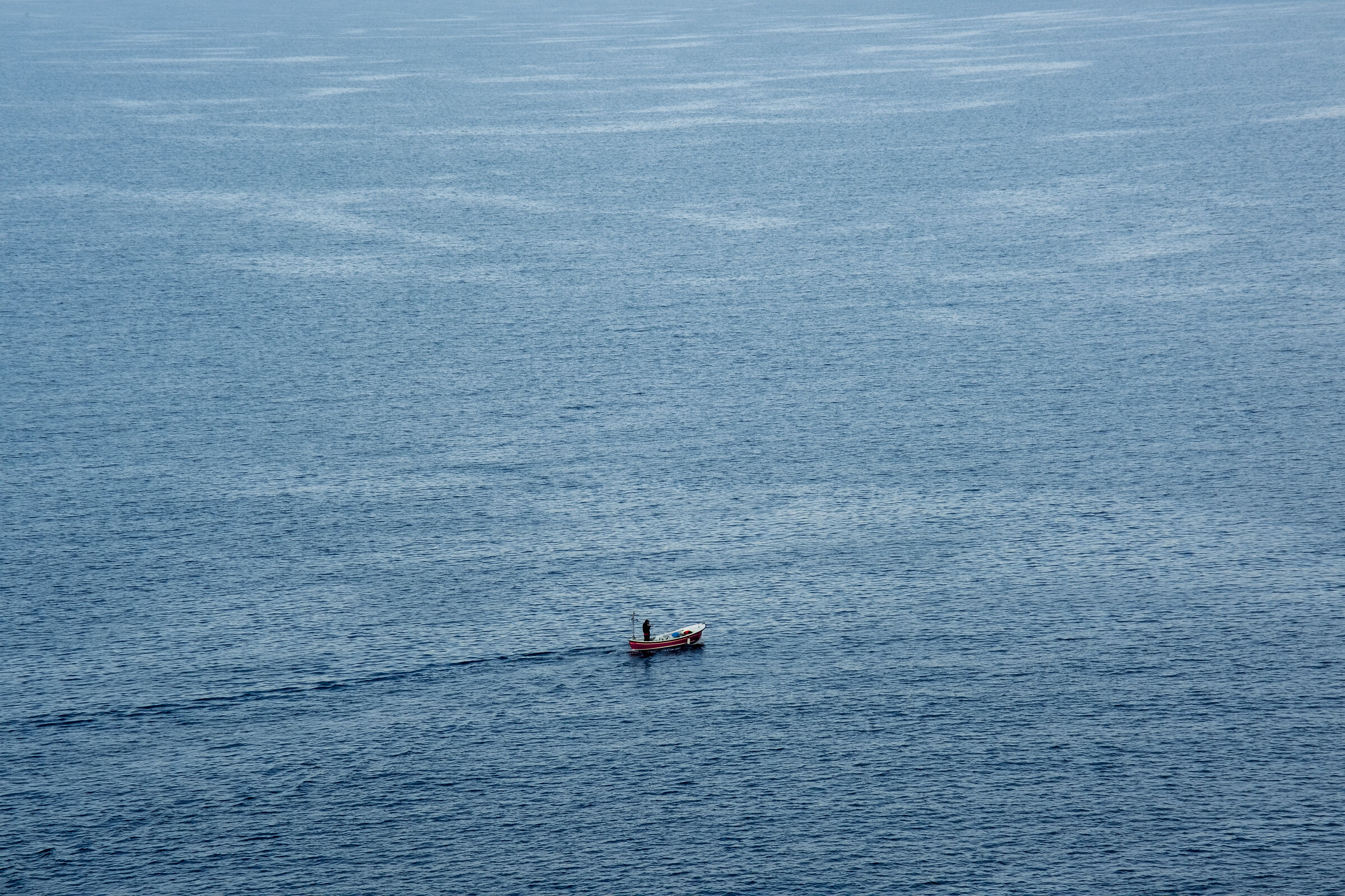 Natante errante in Spagna