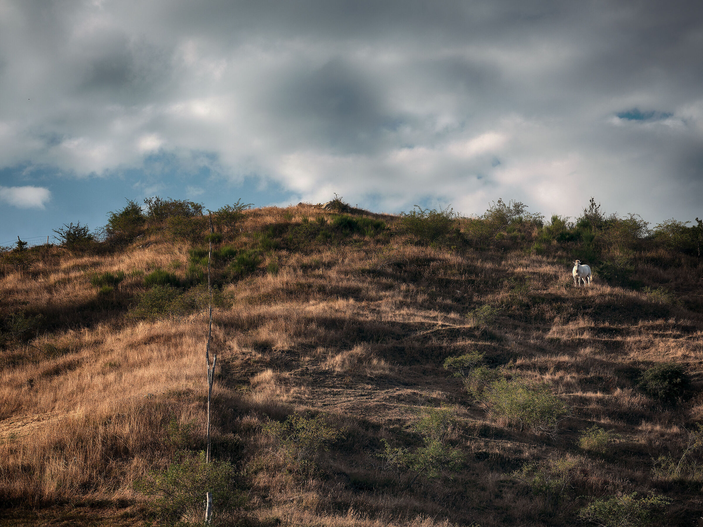 Afternoons in the hills