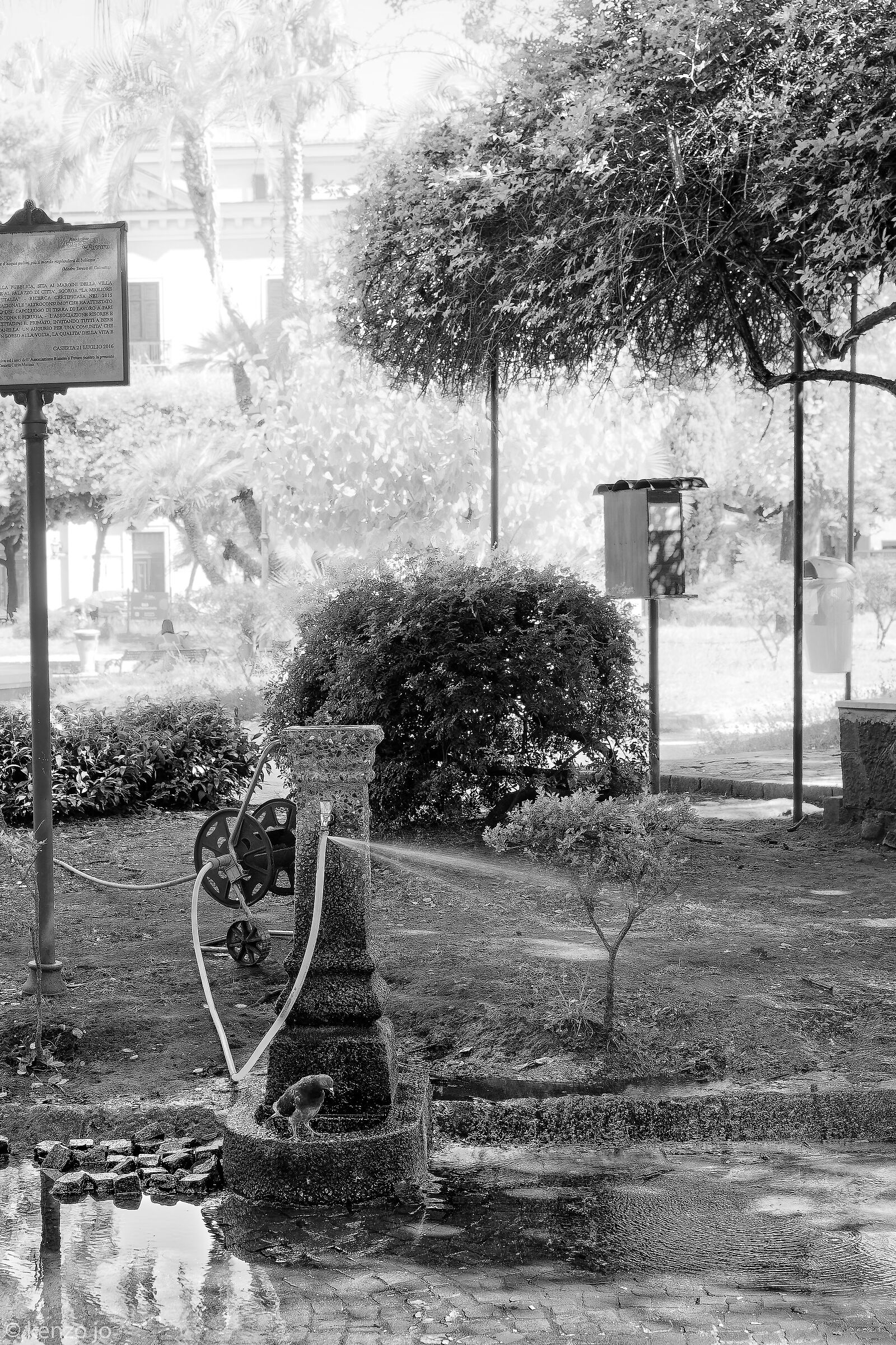 Acqua, bene prezioso