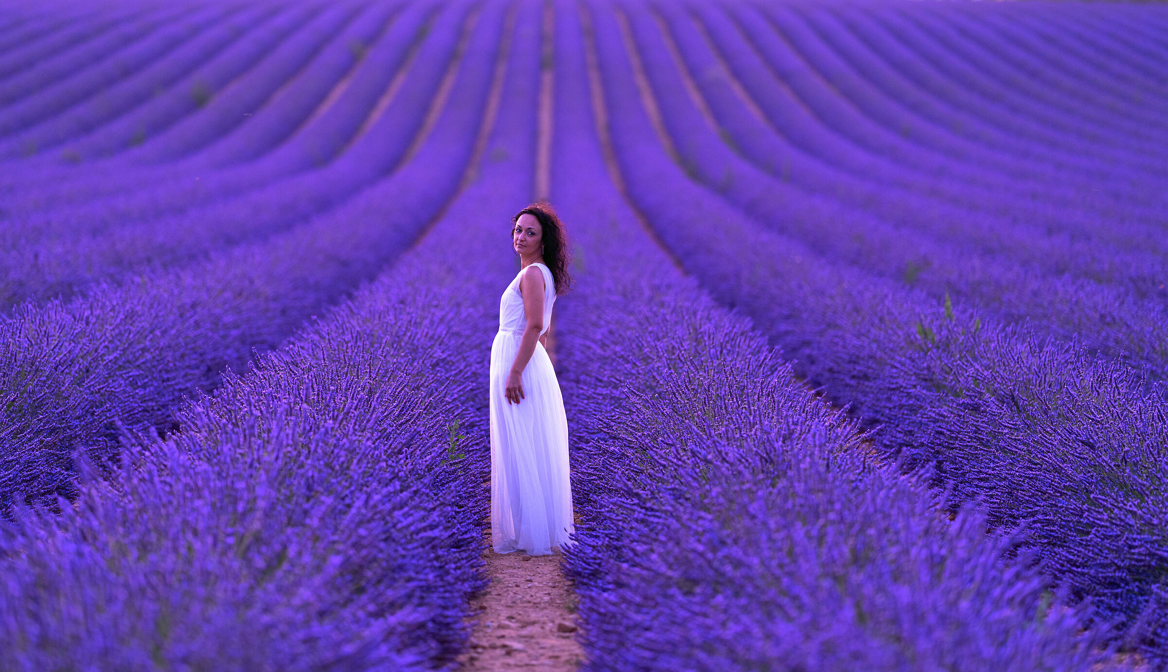 Immersi nella lavanda