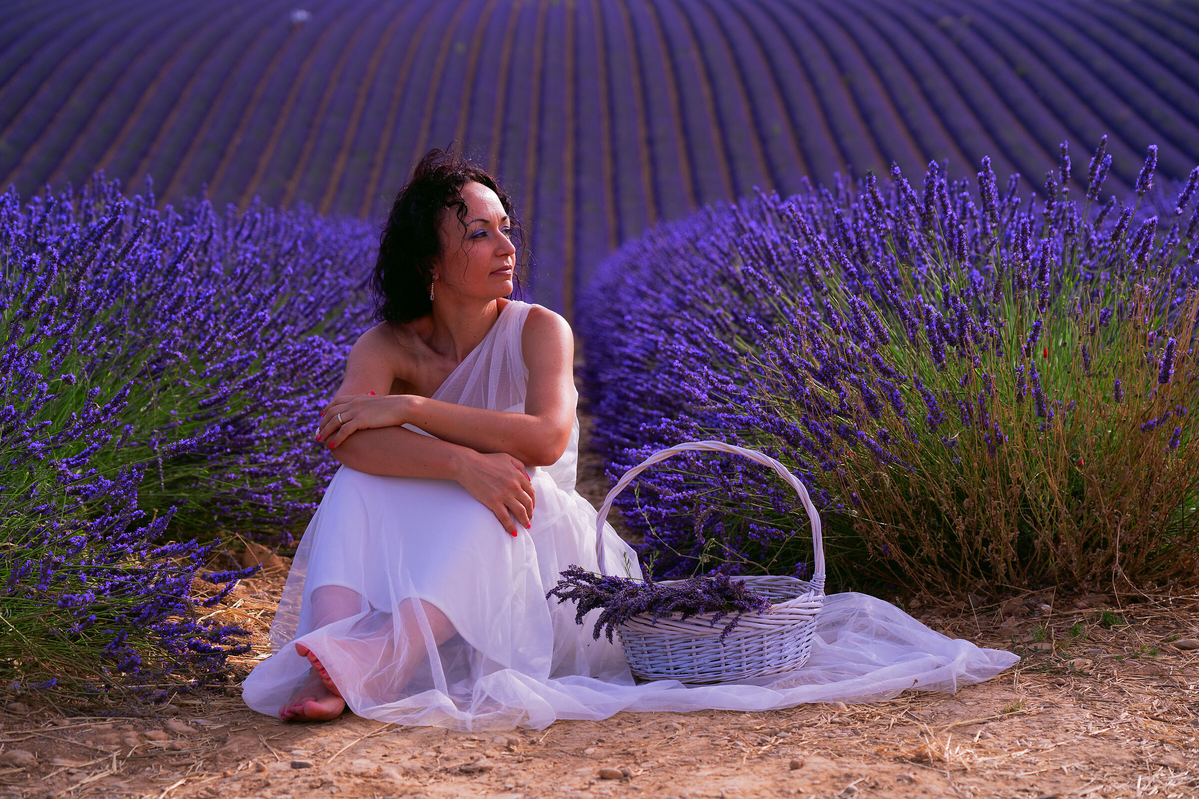 Immersi nella lavanda