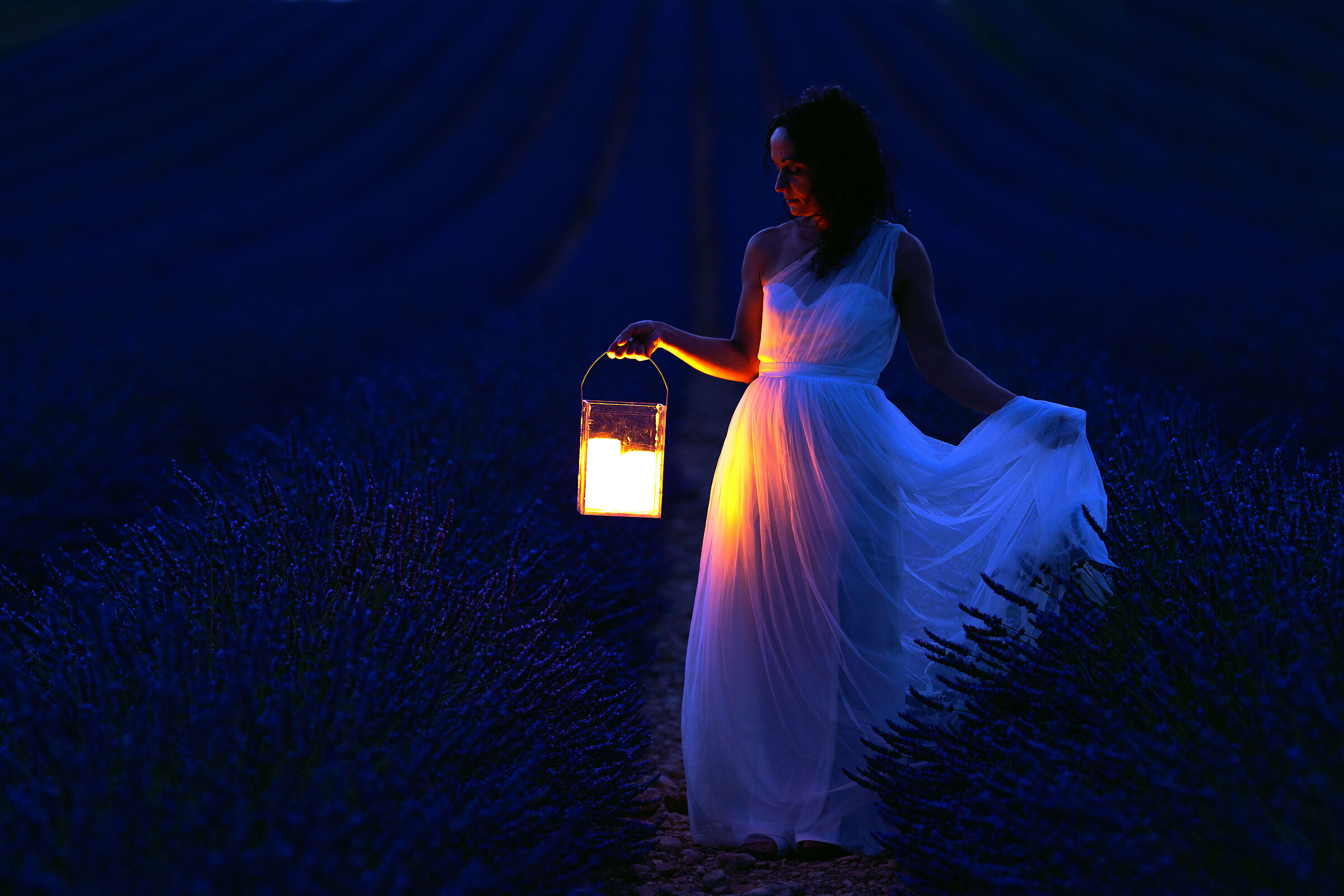 All'ora Blu nella lavanda