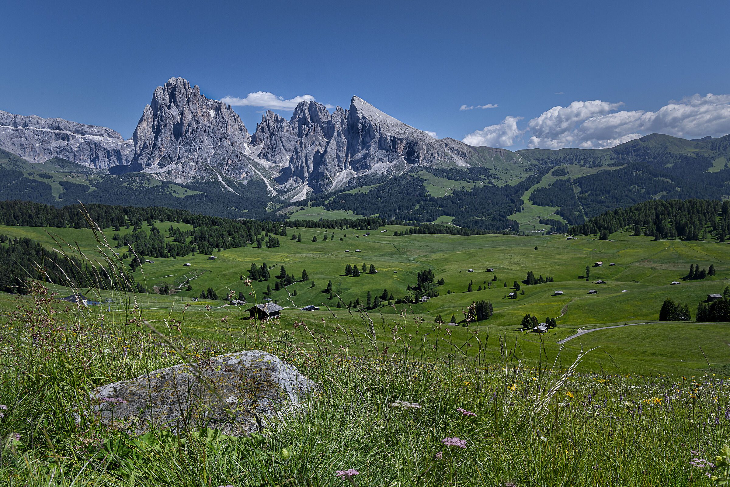 Trentino