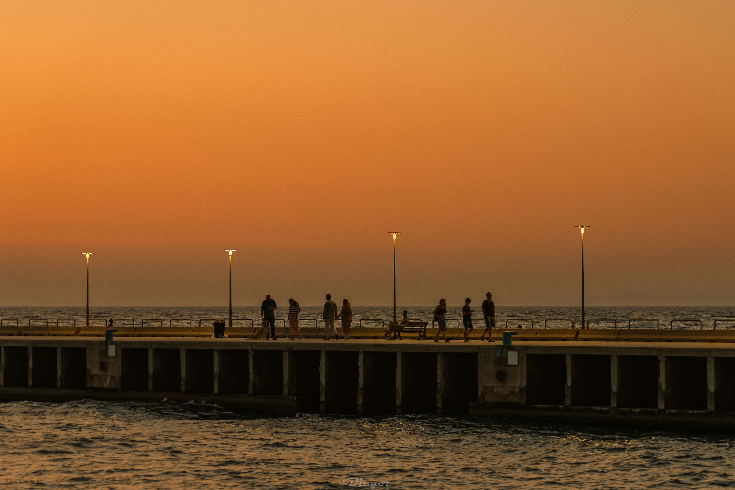 Untitled Photo