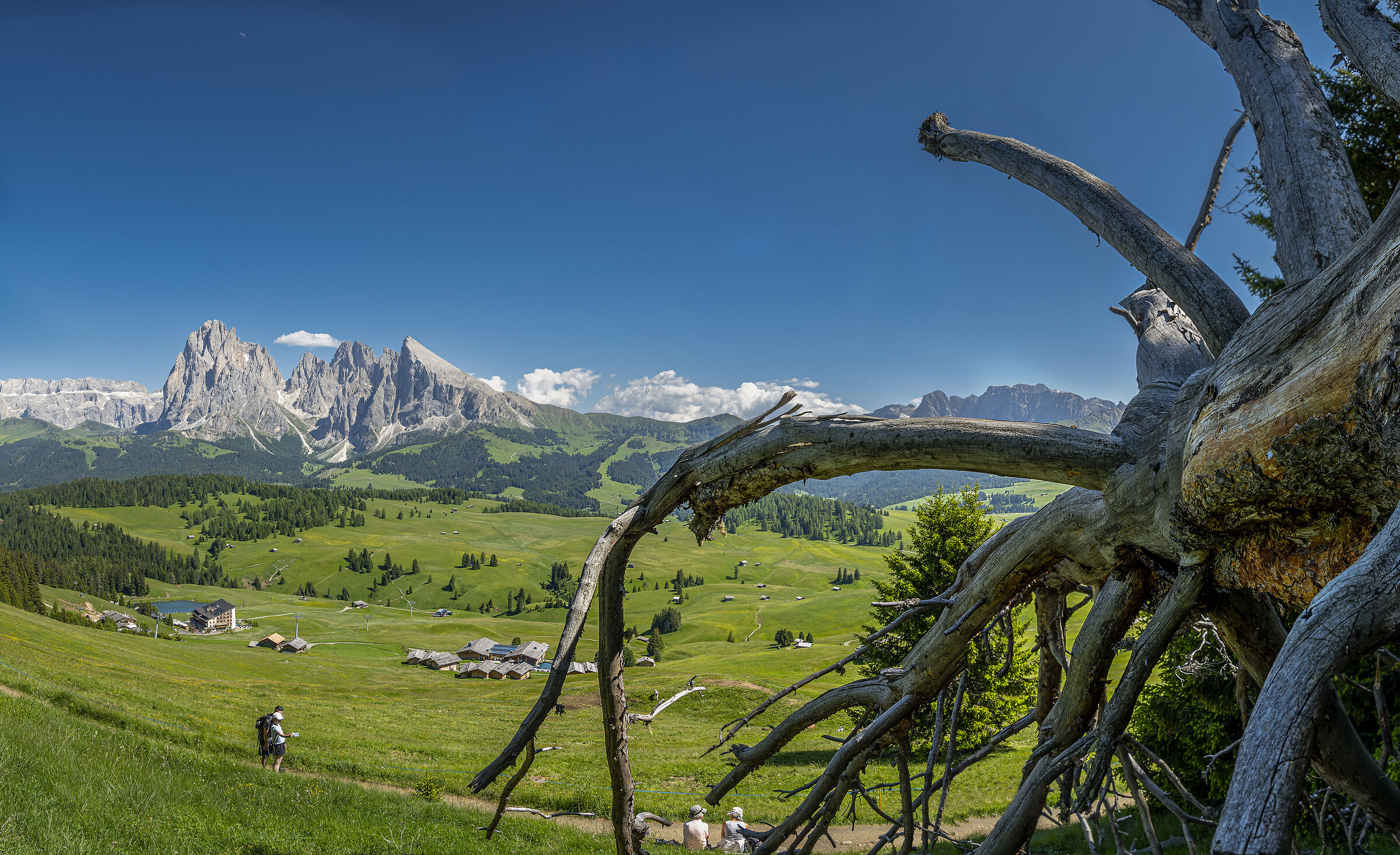 Trentino