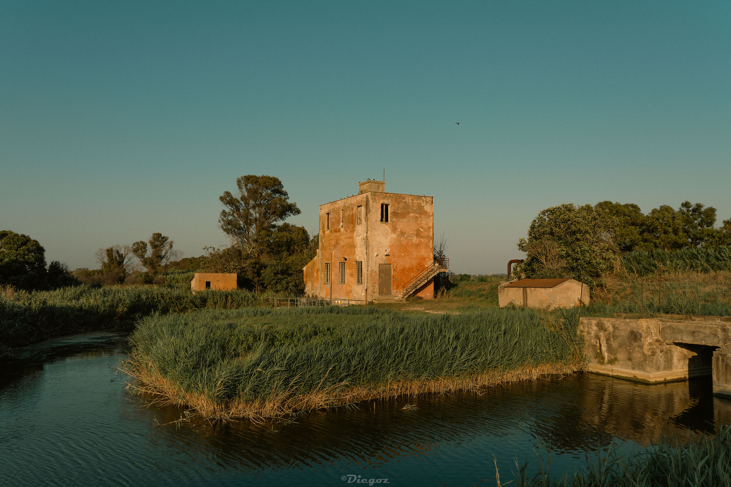 Untitled Photo