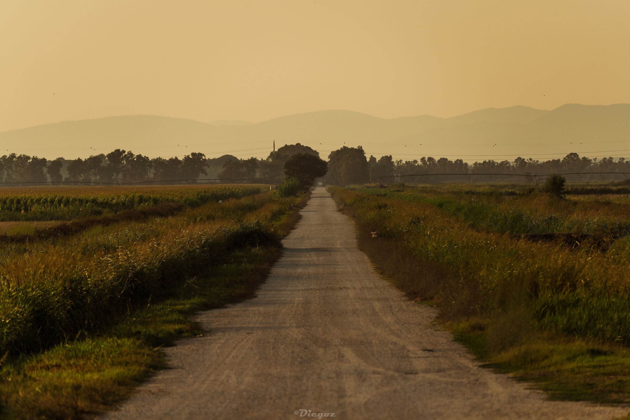 The Road