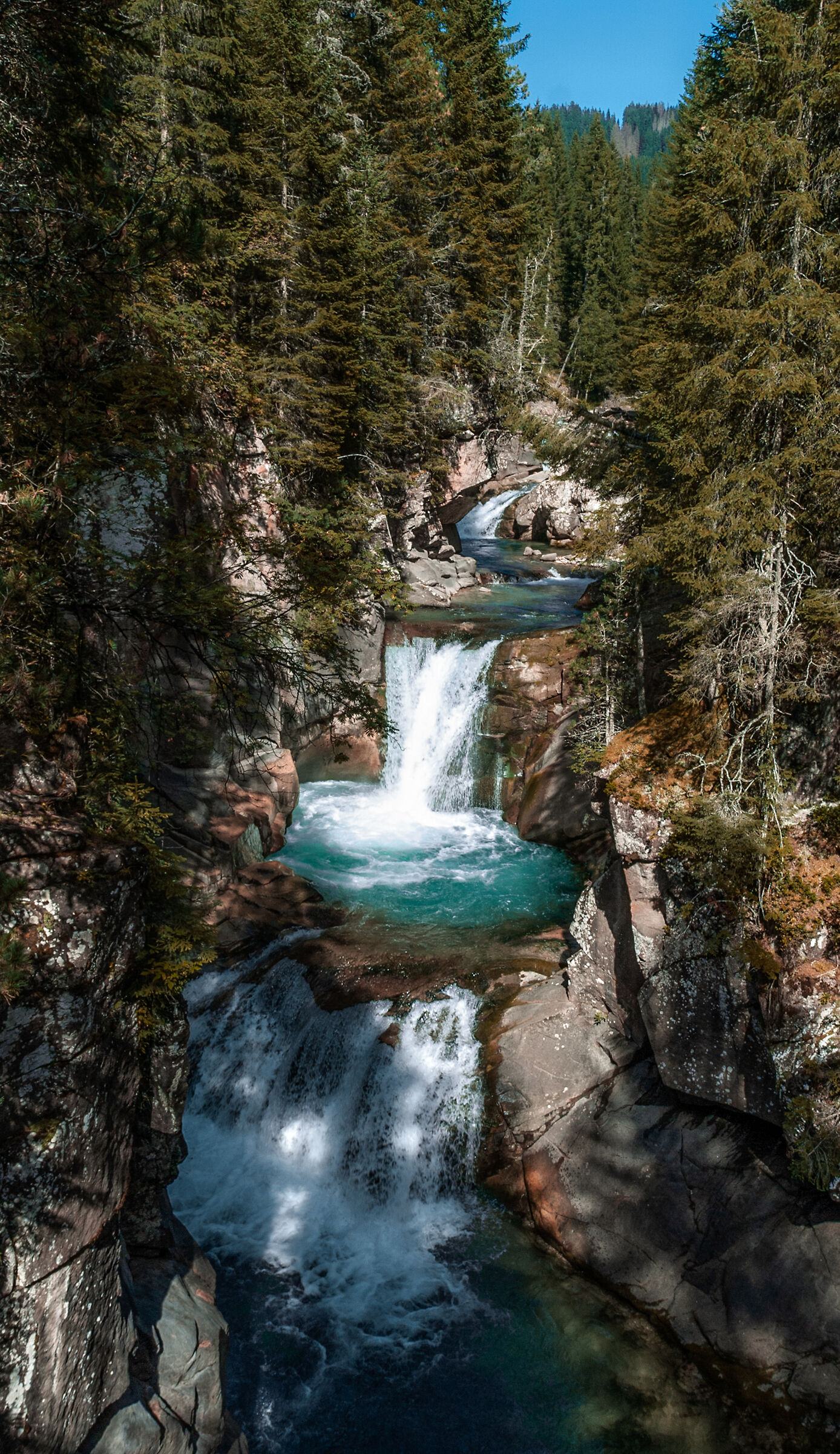 Ruscello foresta naturale Paneveggio different view