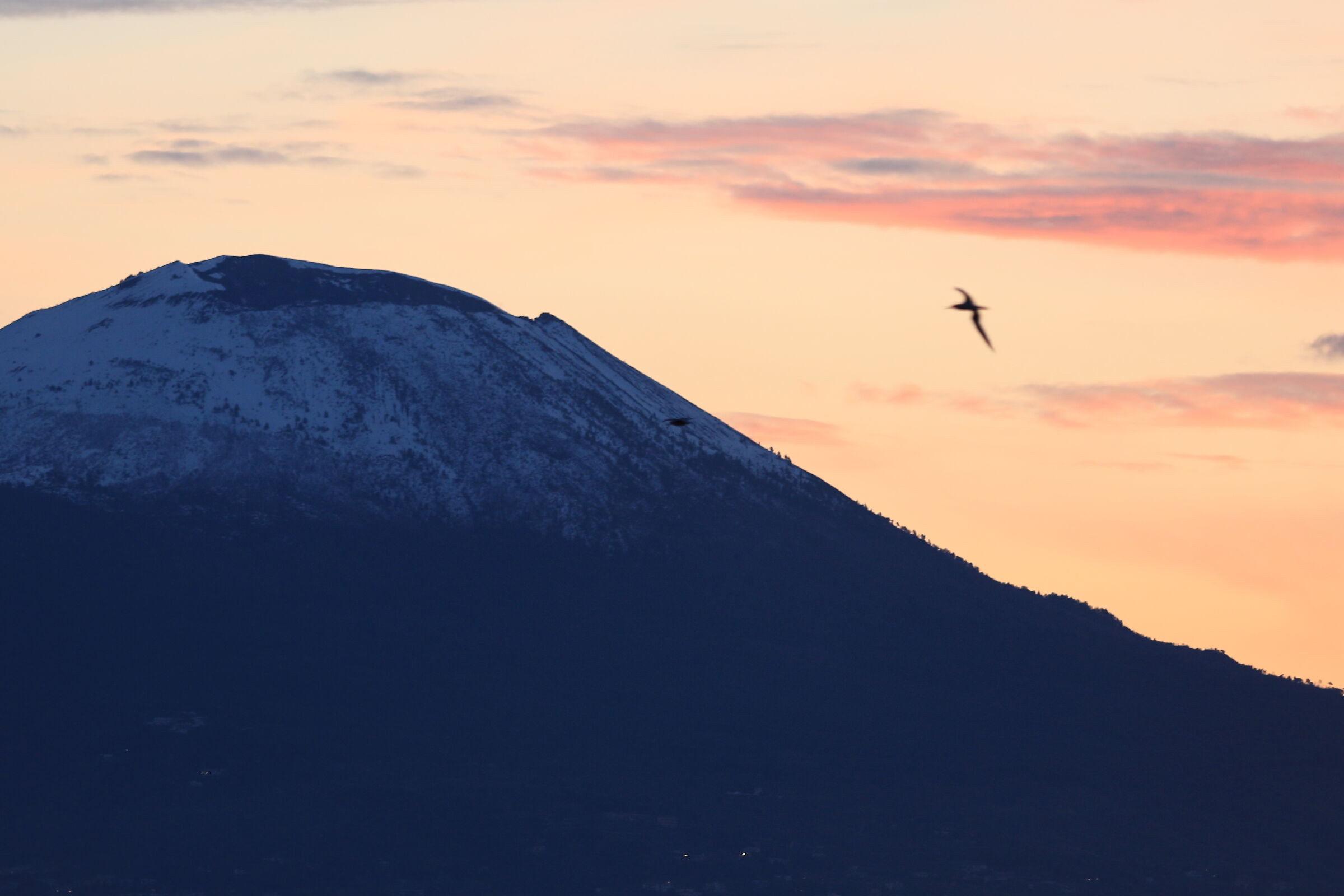 Naples (Italy)
