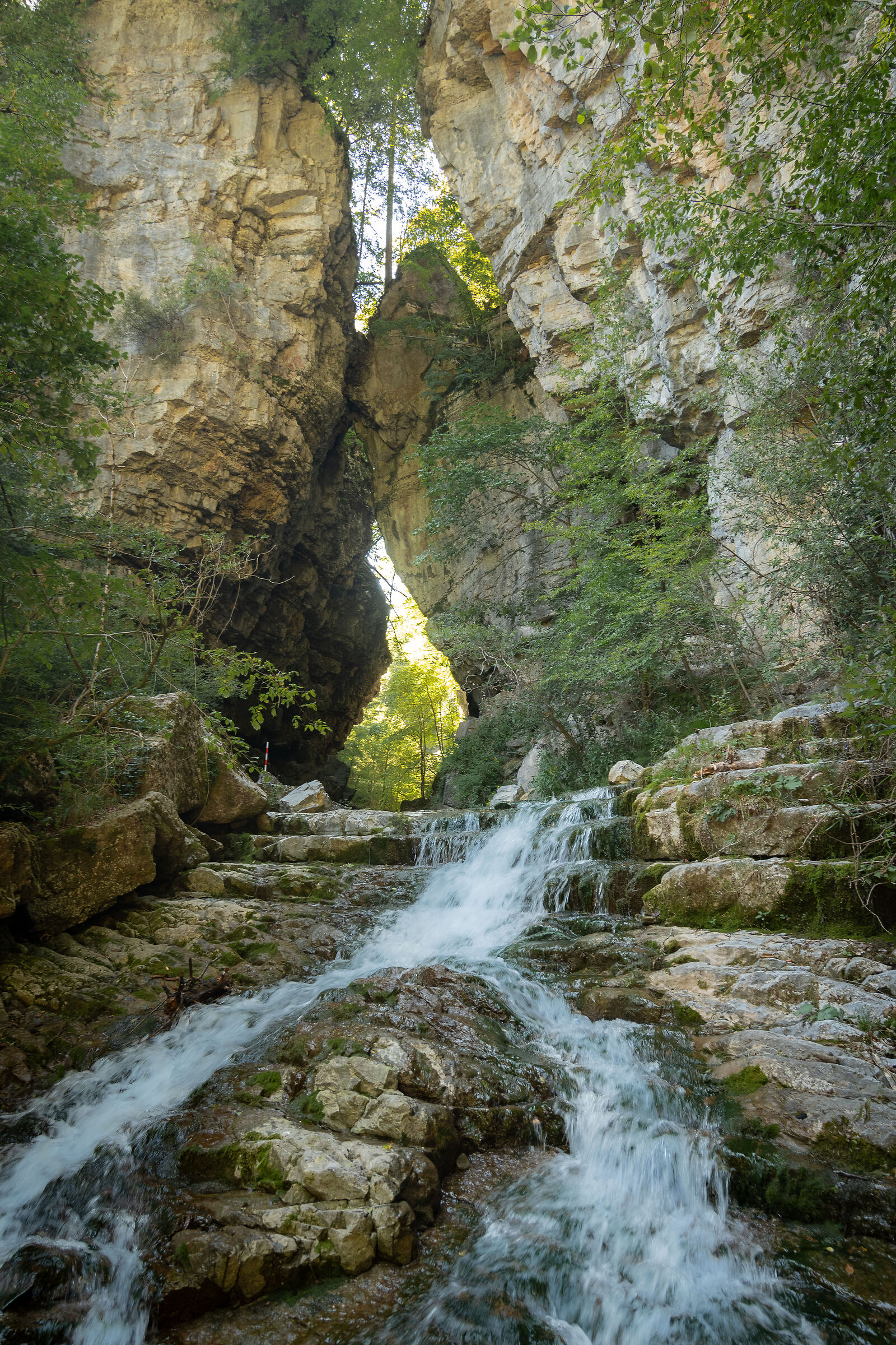Architetture della natura