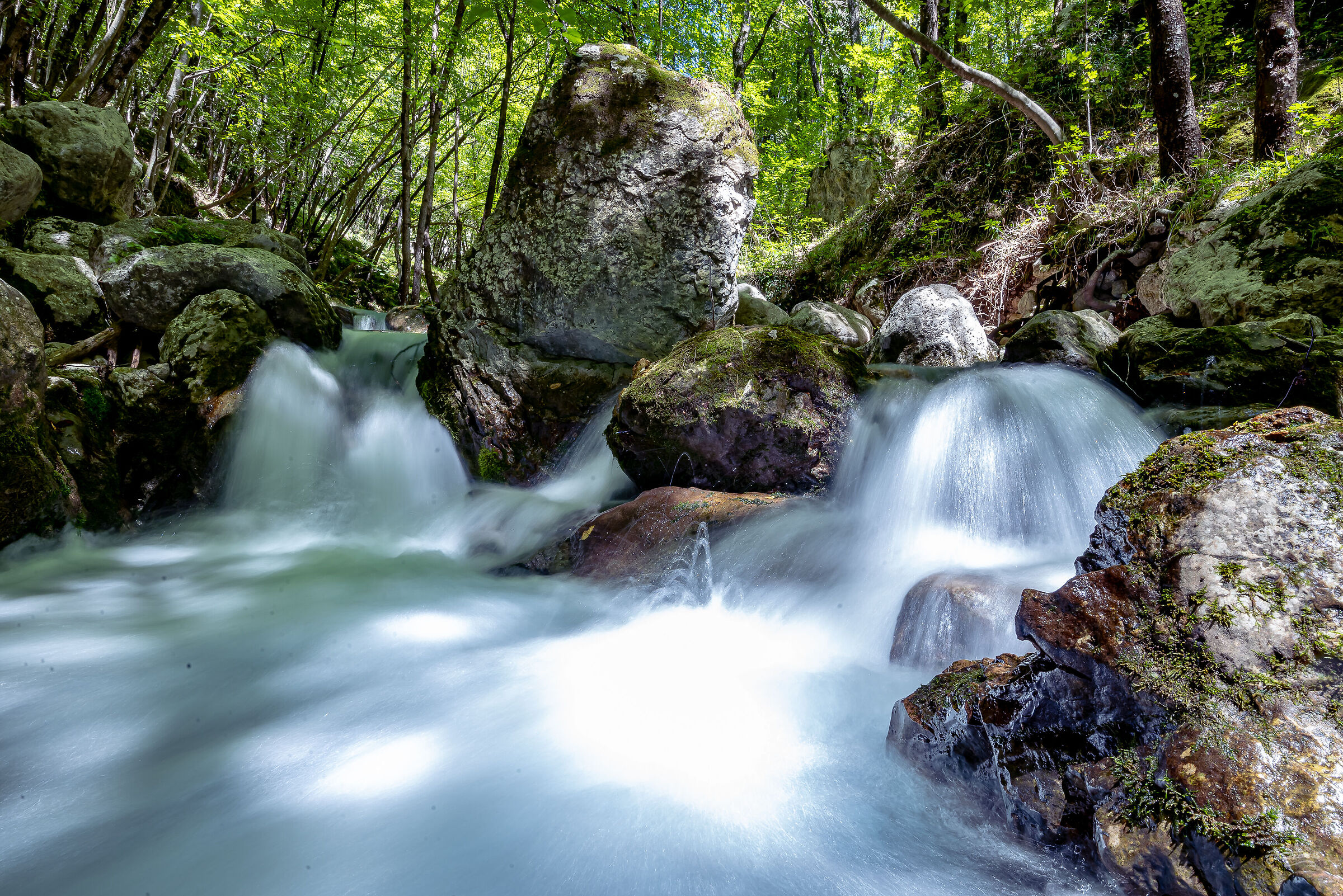 Capofiume again