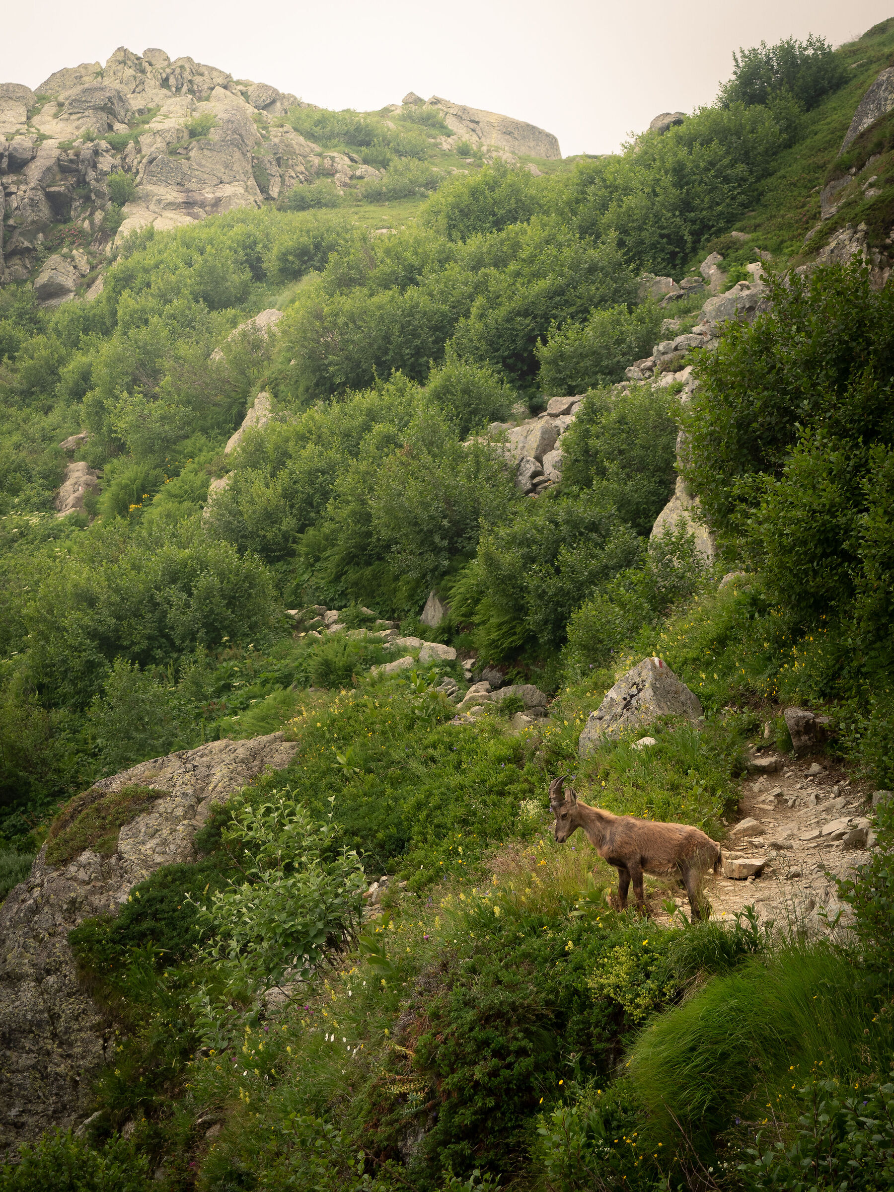 Untitled Photo