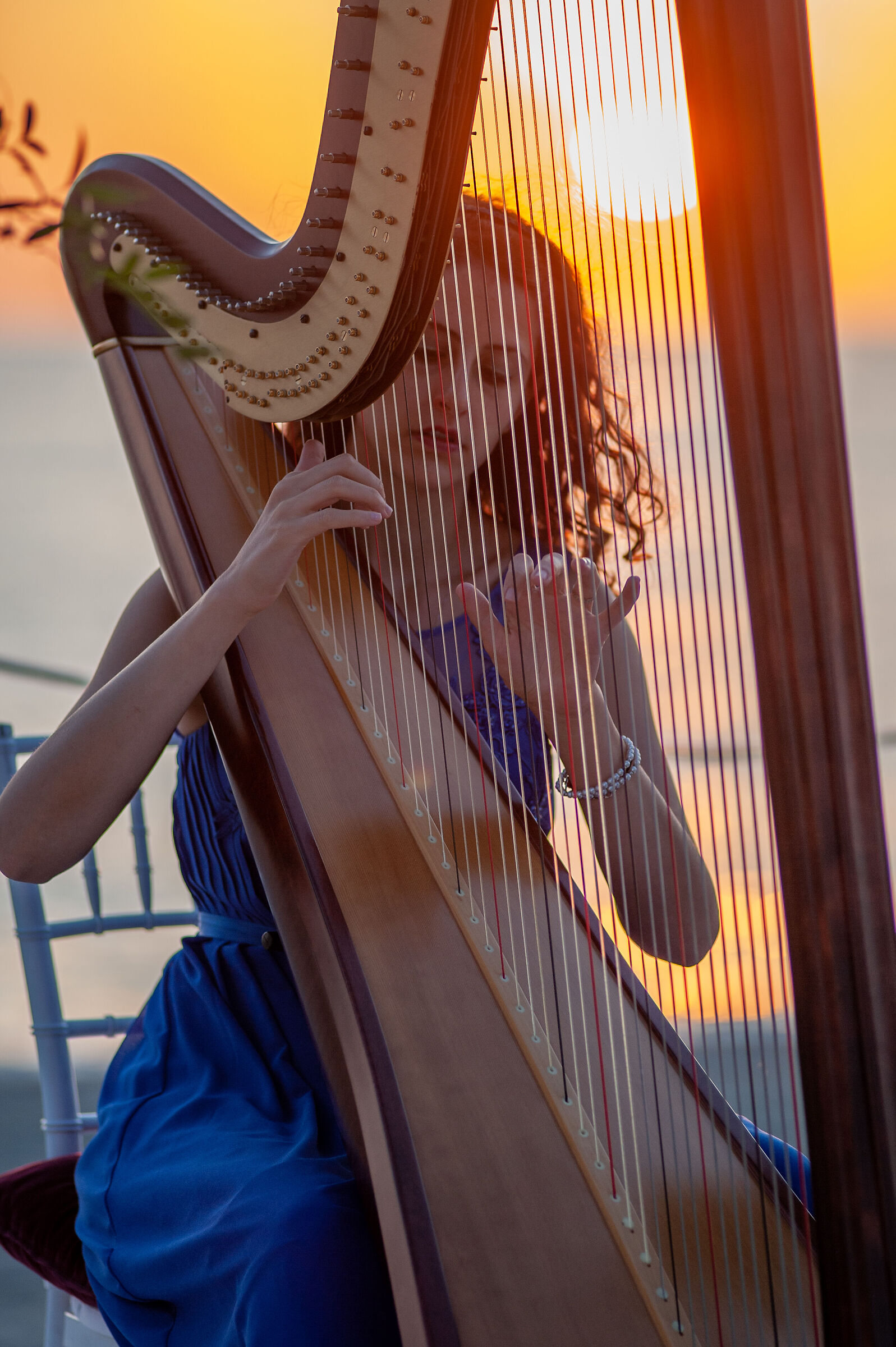 Harp & sunset
