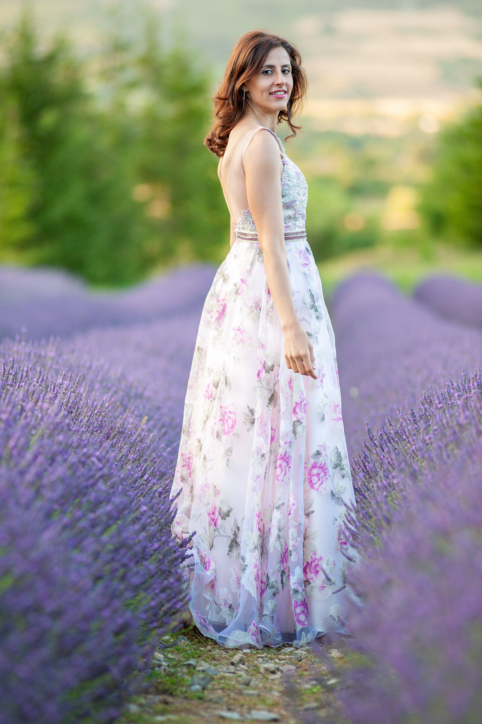 In the lavender park