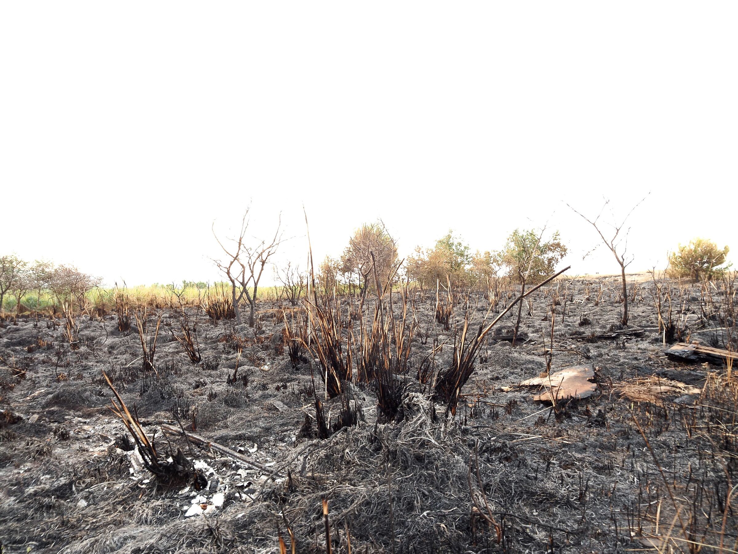 After the fire