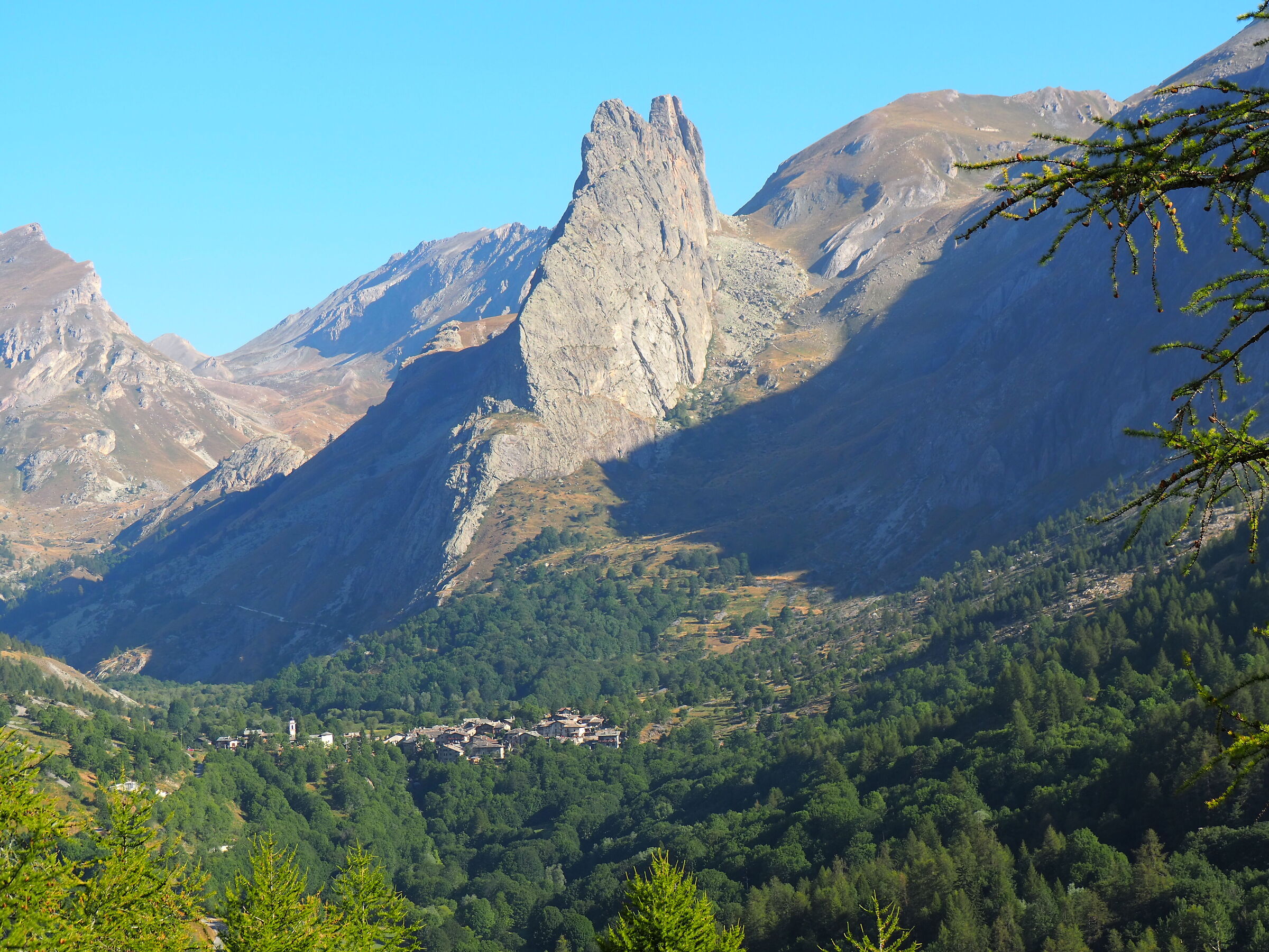 Chiappera
