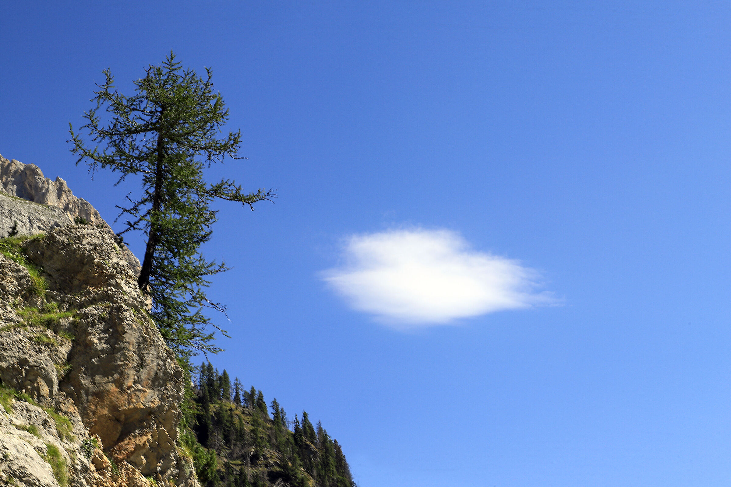 First climbs, first visions