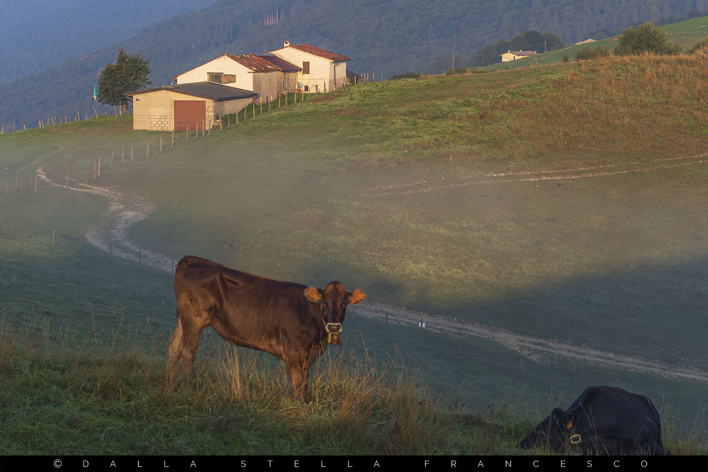 Spettro di Brocken tra i pascoli