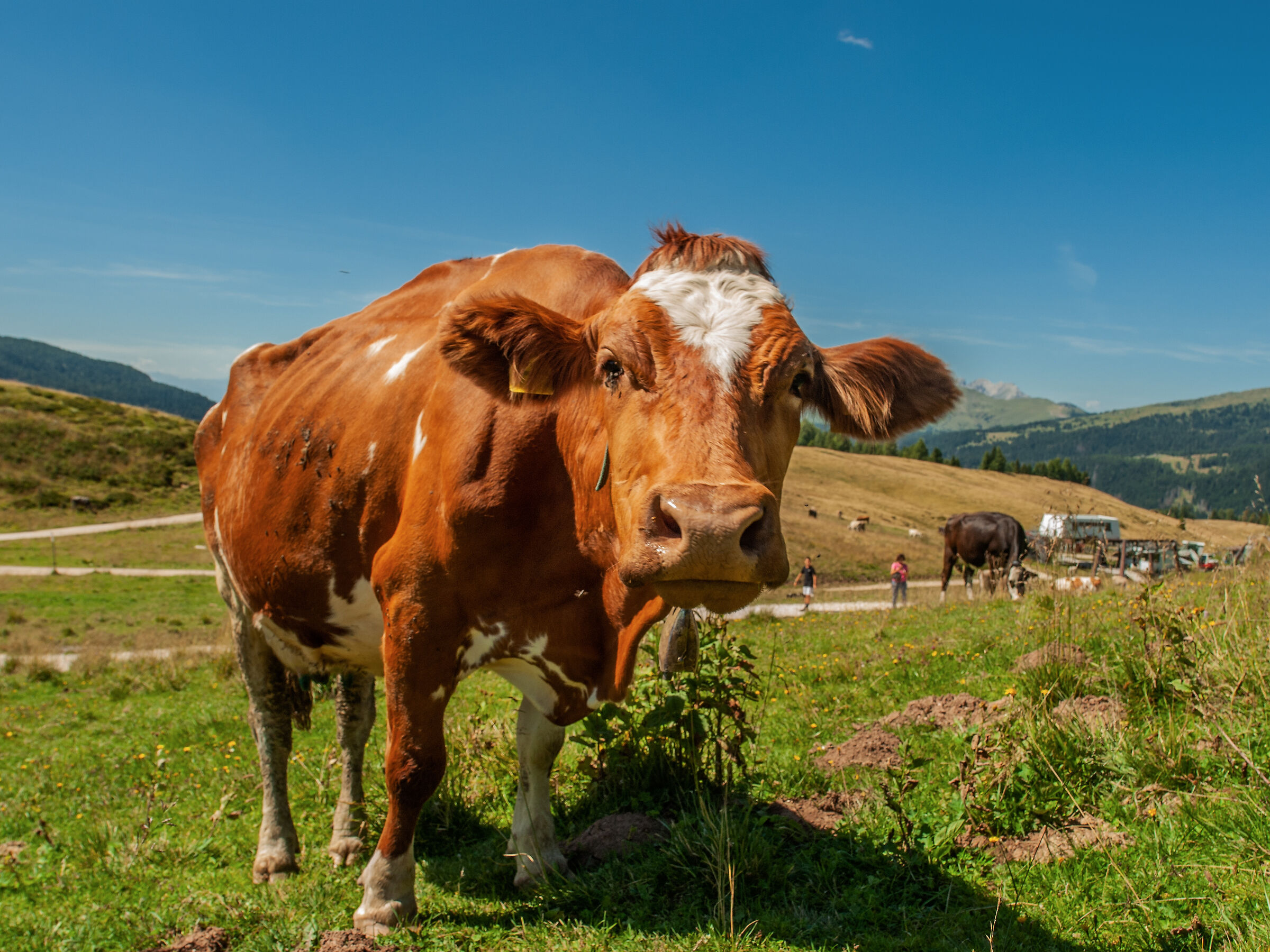 Ma che ti fotografi!!!