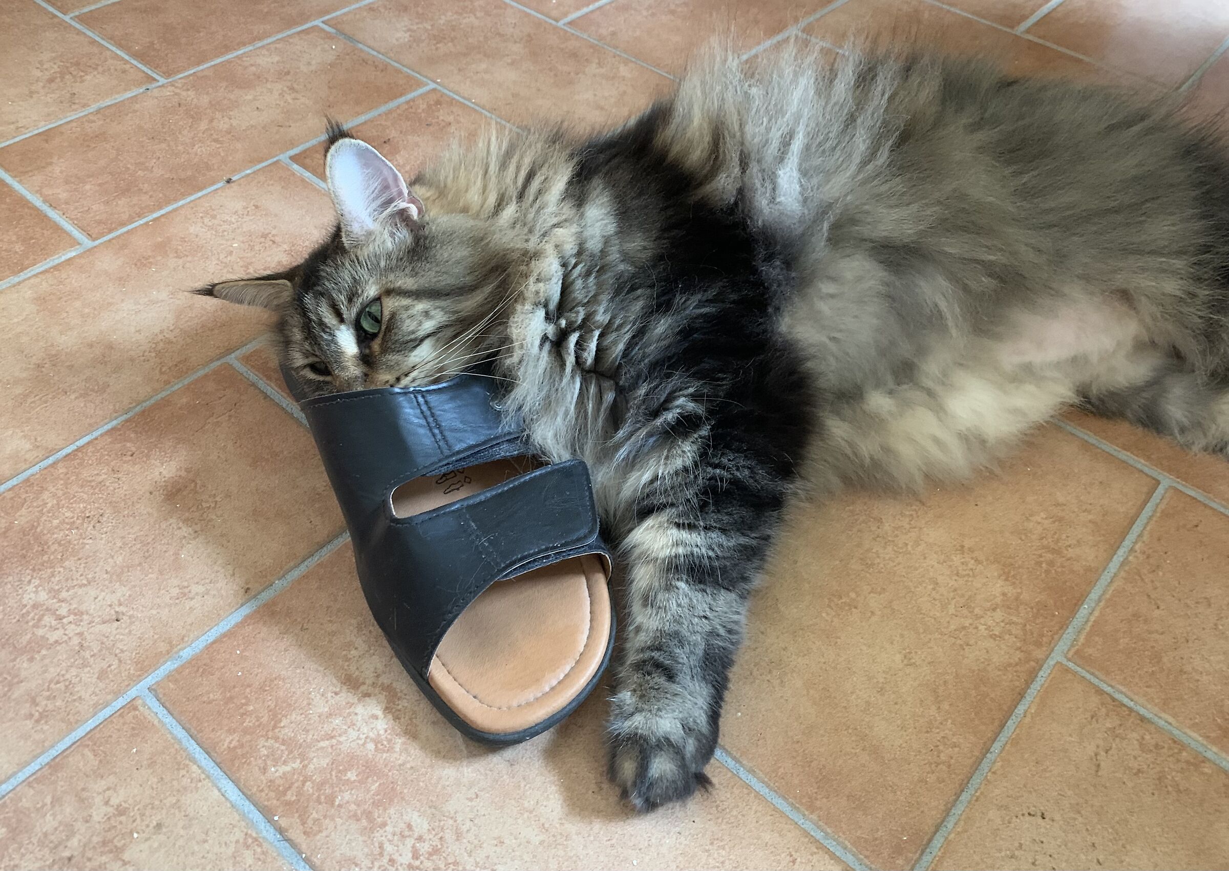 I have to tell my butler to wash his feet