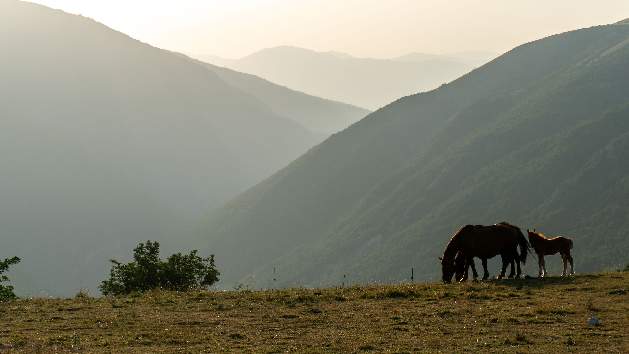 Pintura of Bolognola