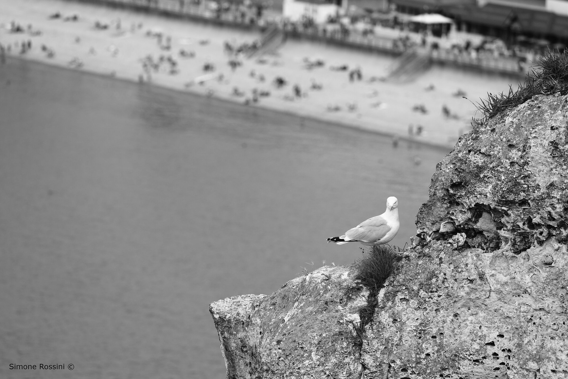 It's better up here!